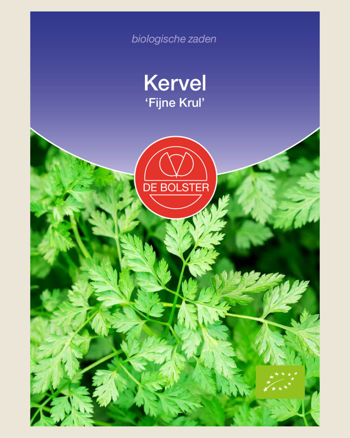 Kervel 'Fijne Krul'