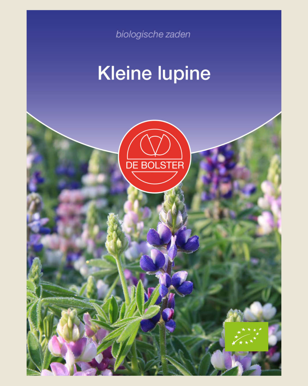 Kleine lupine BIO