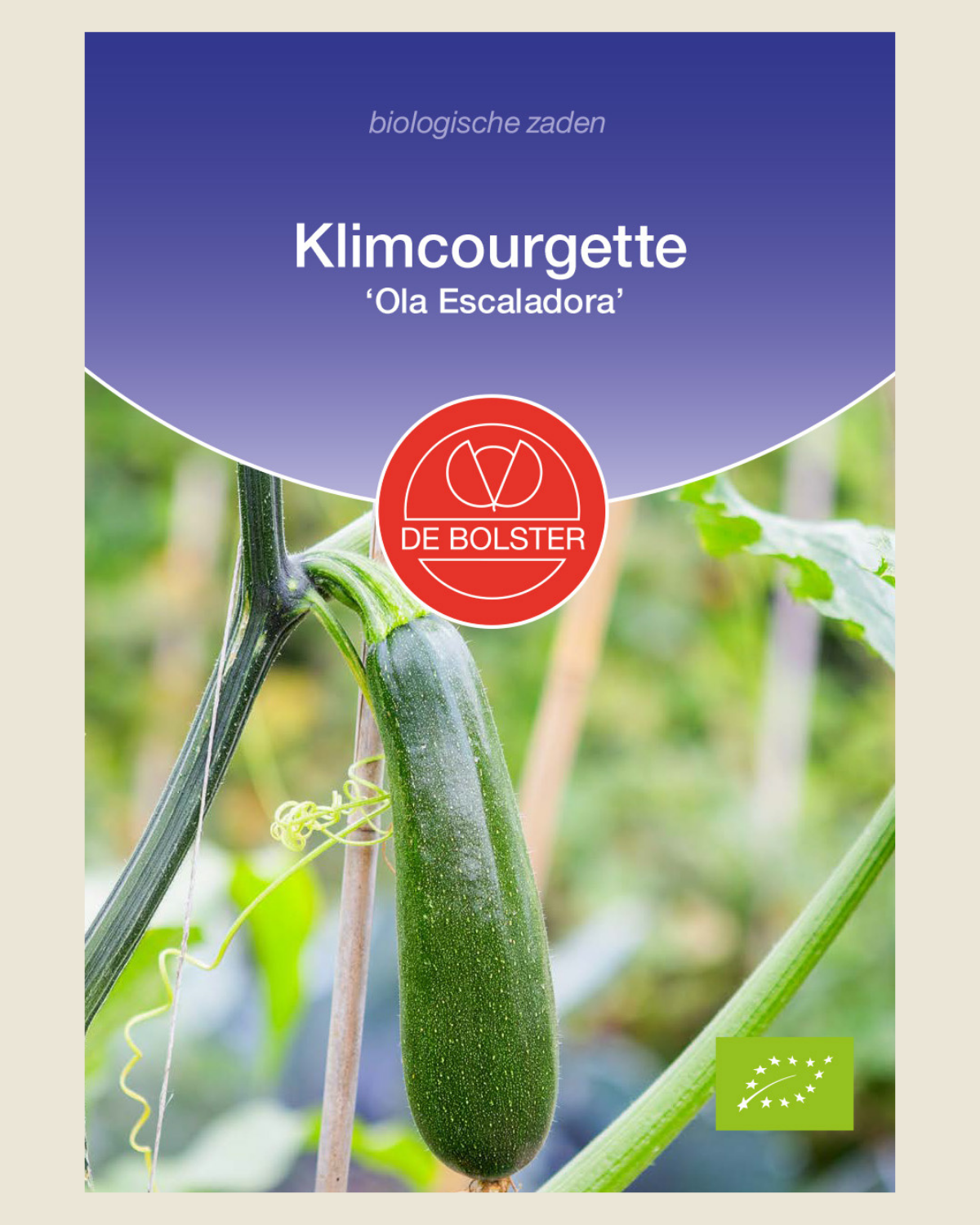 Klimcourgette 'Ola Escaladora' BIO