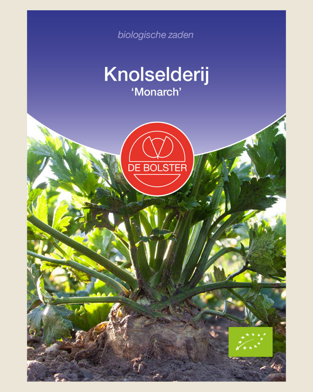 Knolselderij 'Monarch' BIO