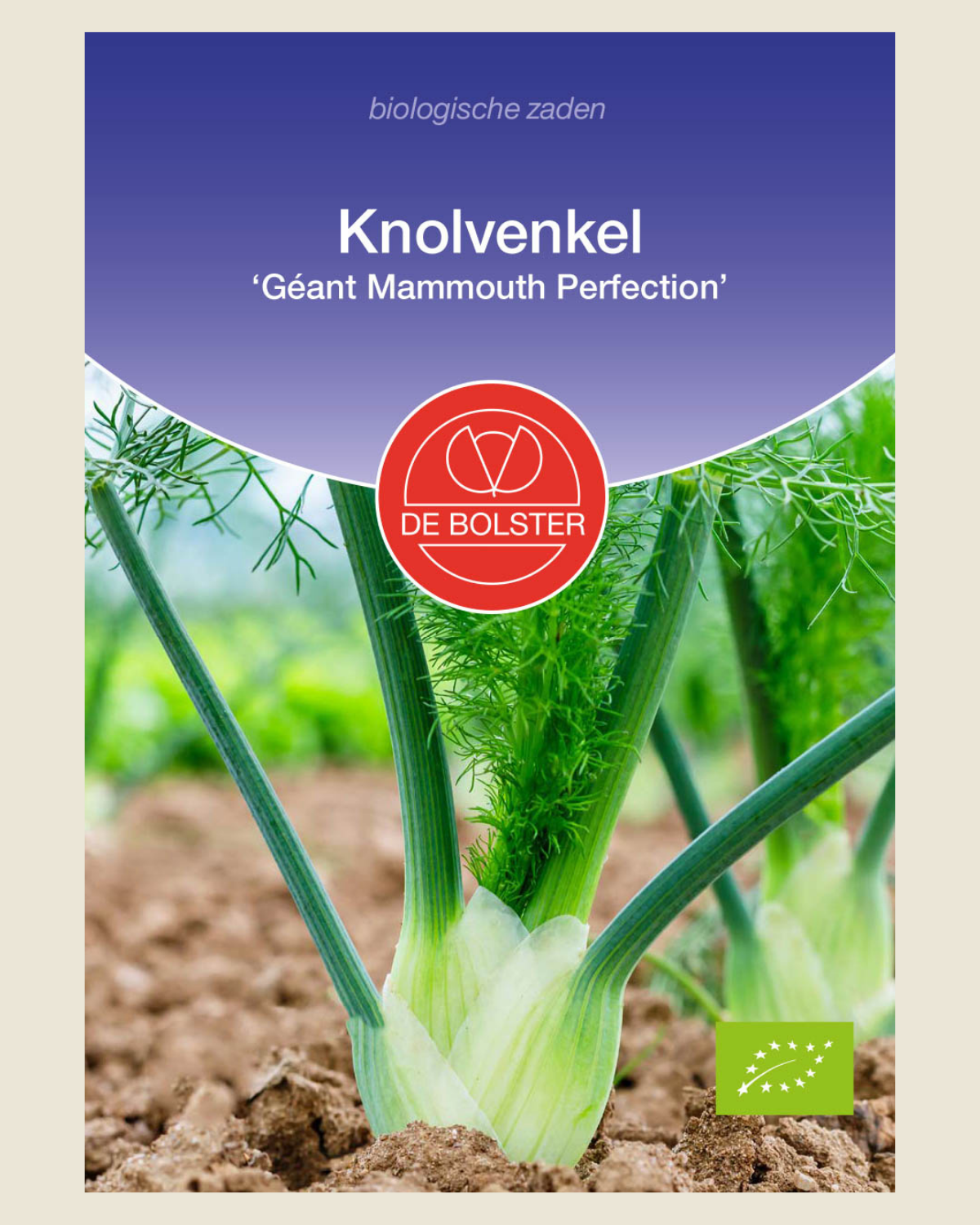 Knolvenkel 'Géant Mammouth Perfection' BIO