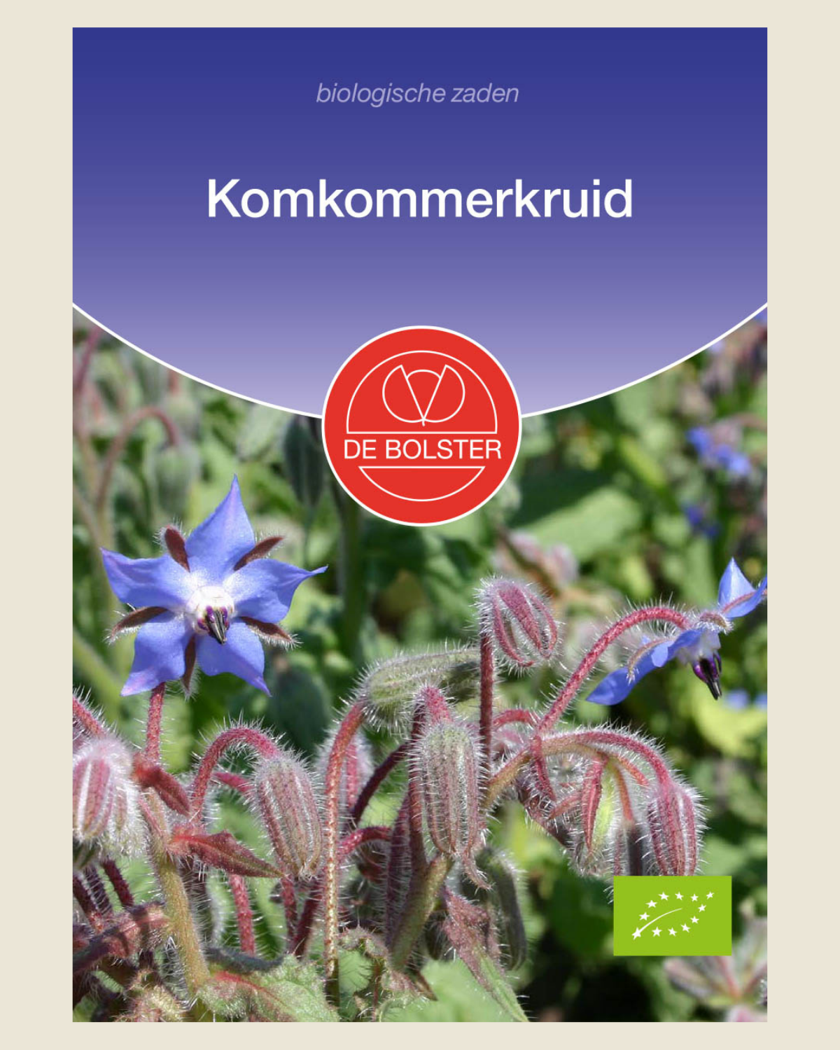 Komkommerkruid