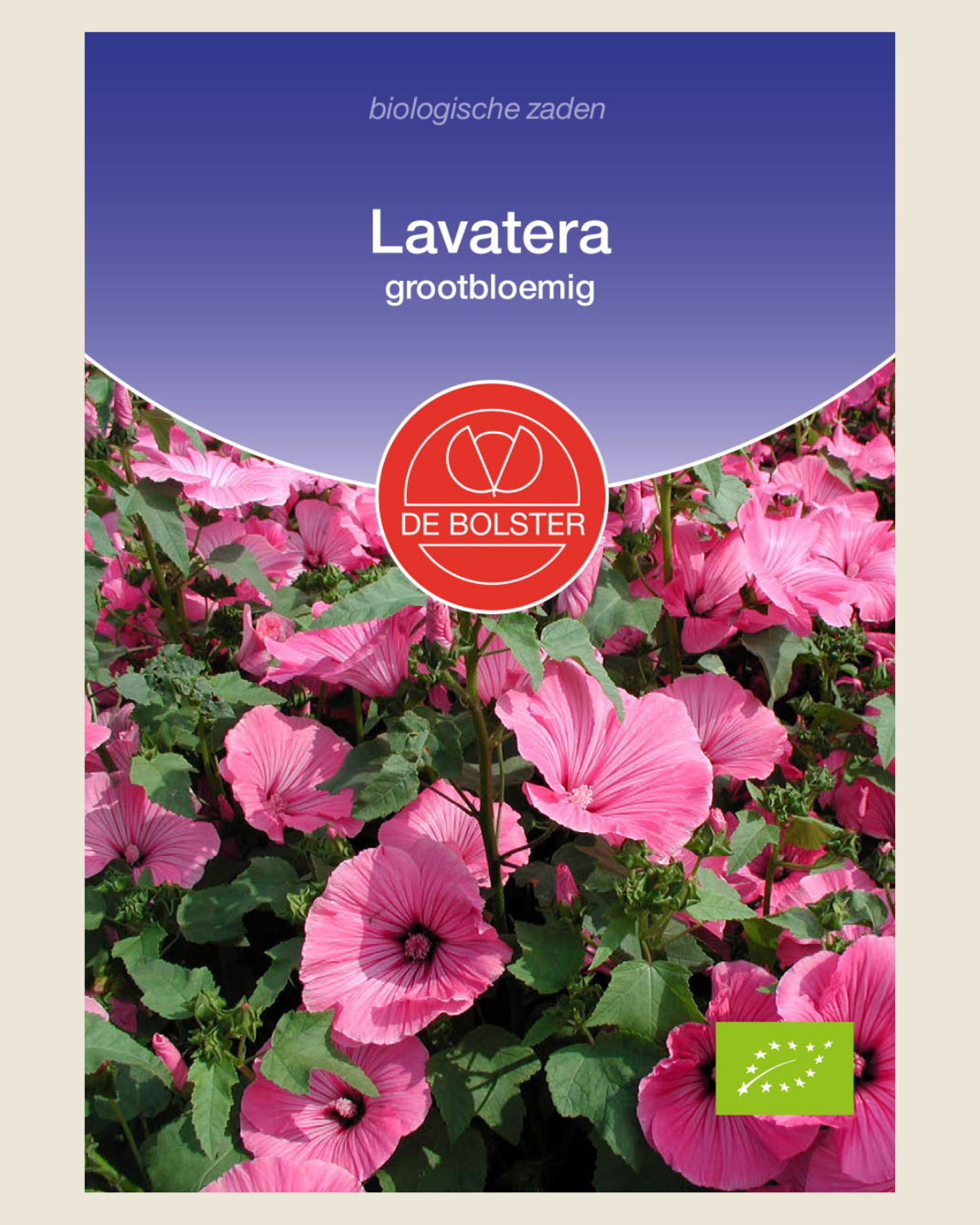 Lavatera, grootbloemig BIO