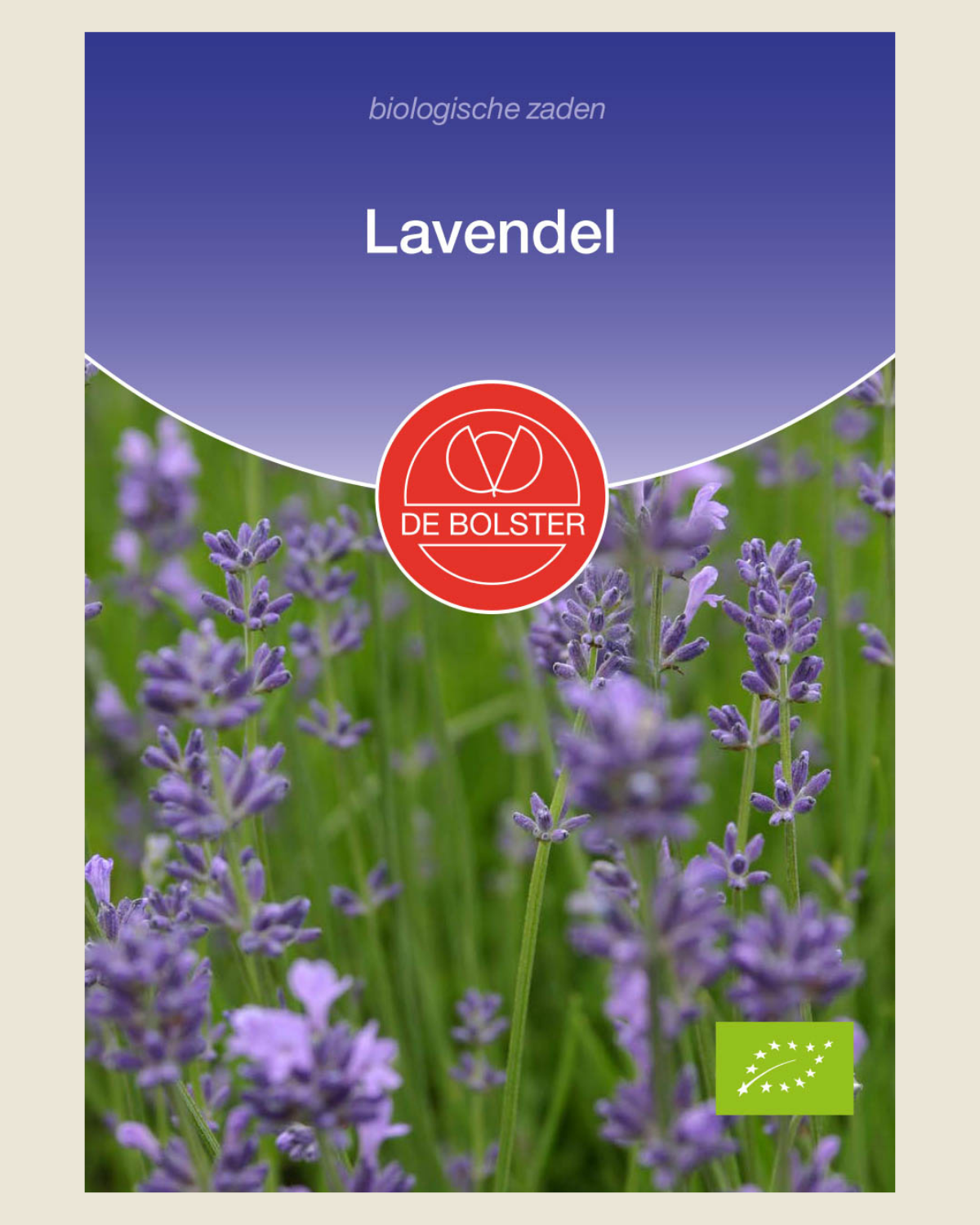 Lavendel