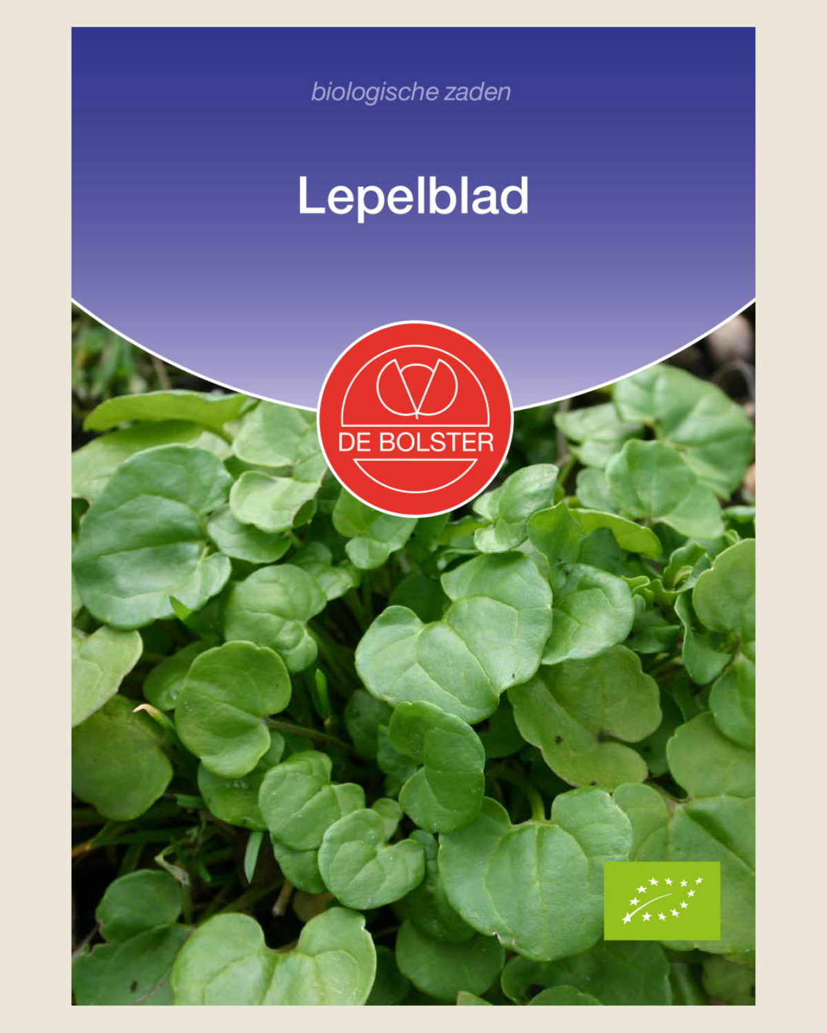 Lepelblad