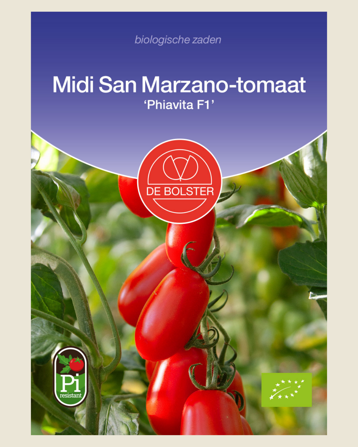 Midi San Marzano-tomaat 'Phiavita F1' BIO