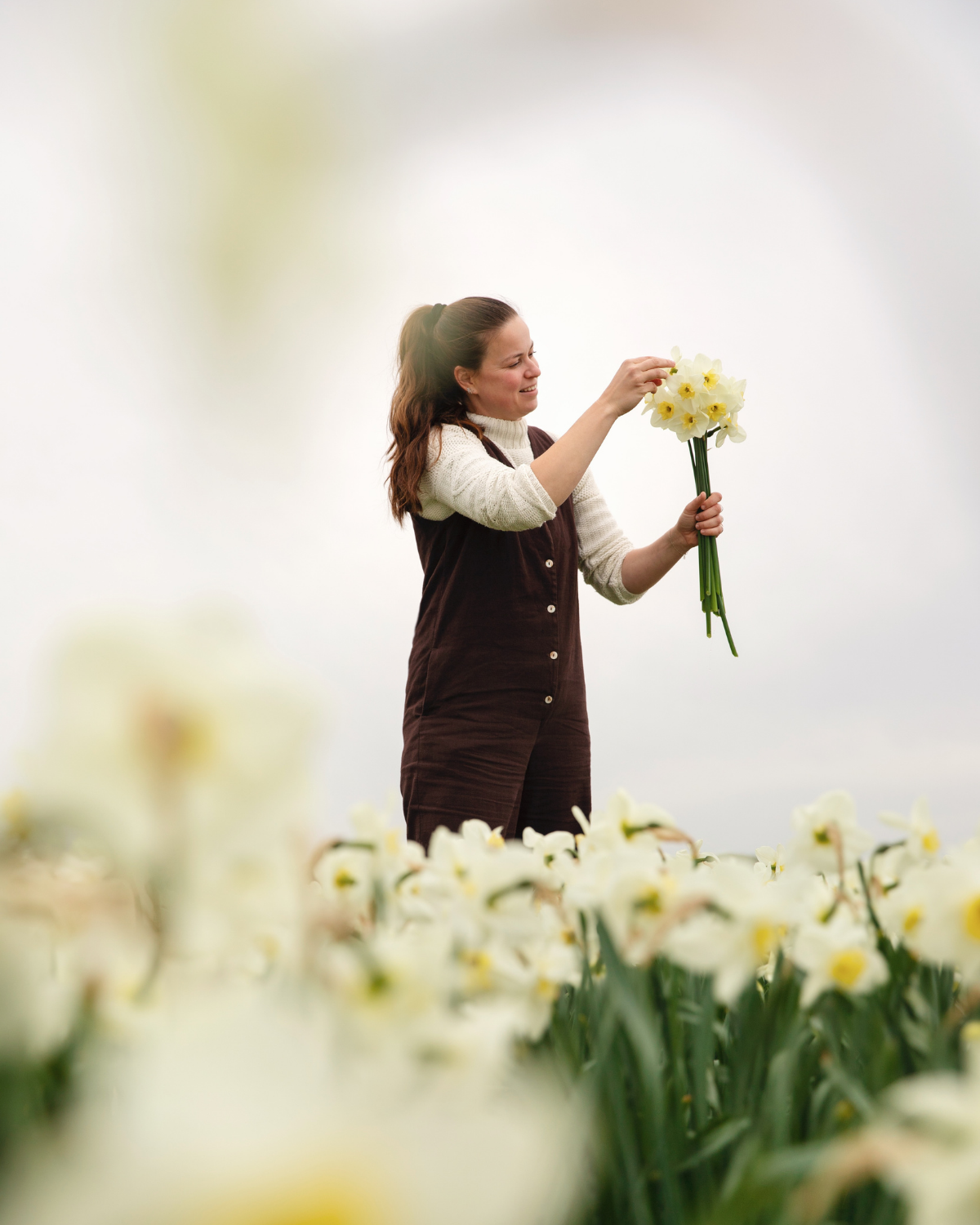 Narcis ‘Papillon Blanc’ BIO (8 stuks)