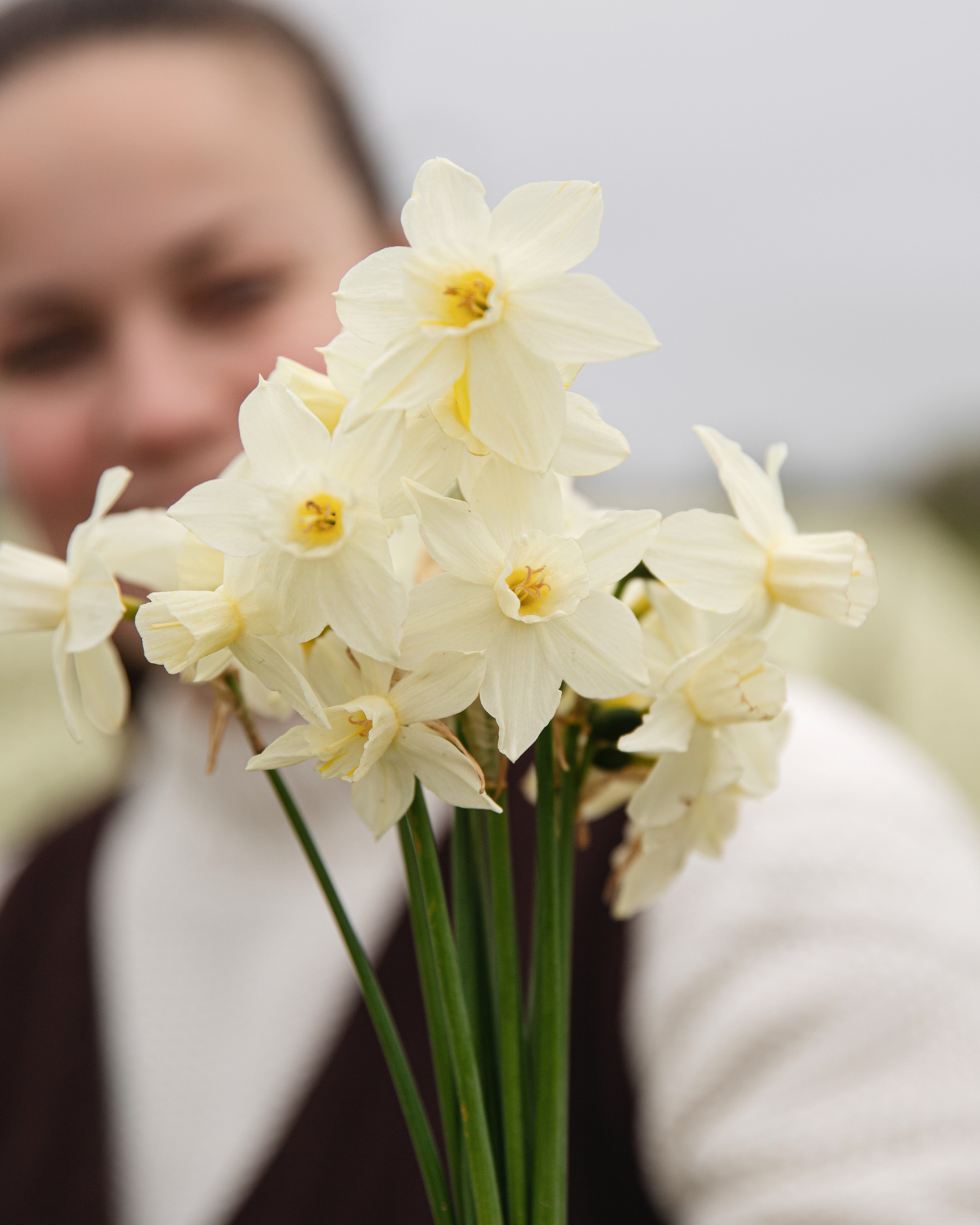 Narcis 'Sailboat' BIO (8 stuks)