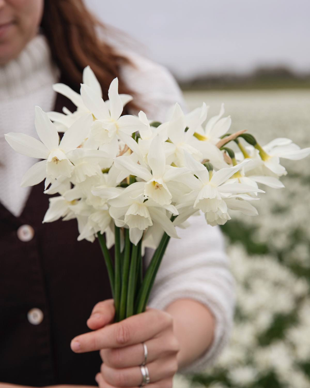 Narcis 'Thalia' BIO (8 stuks)