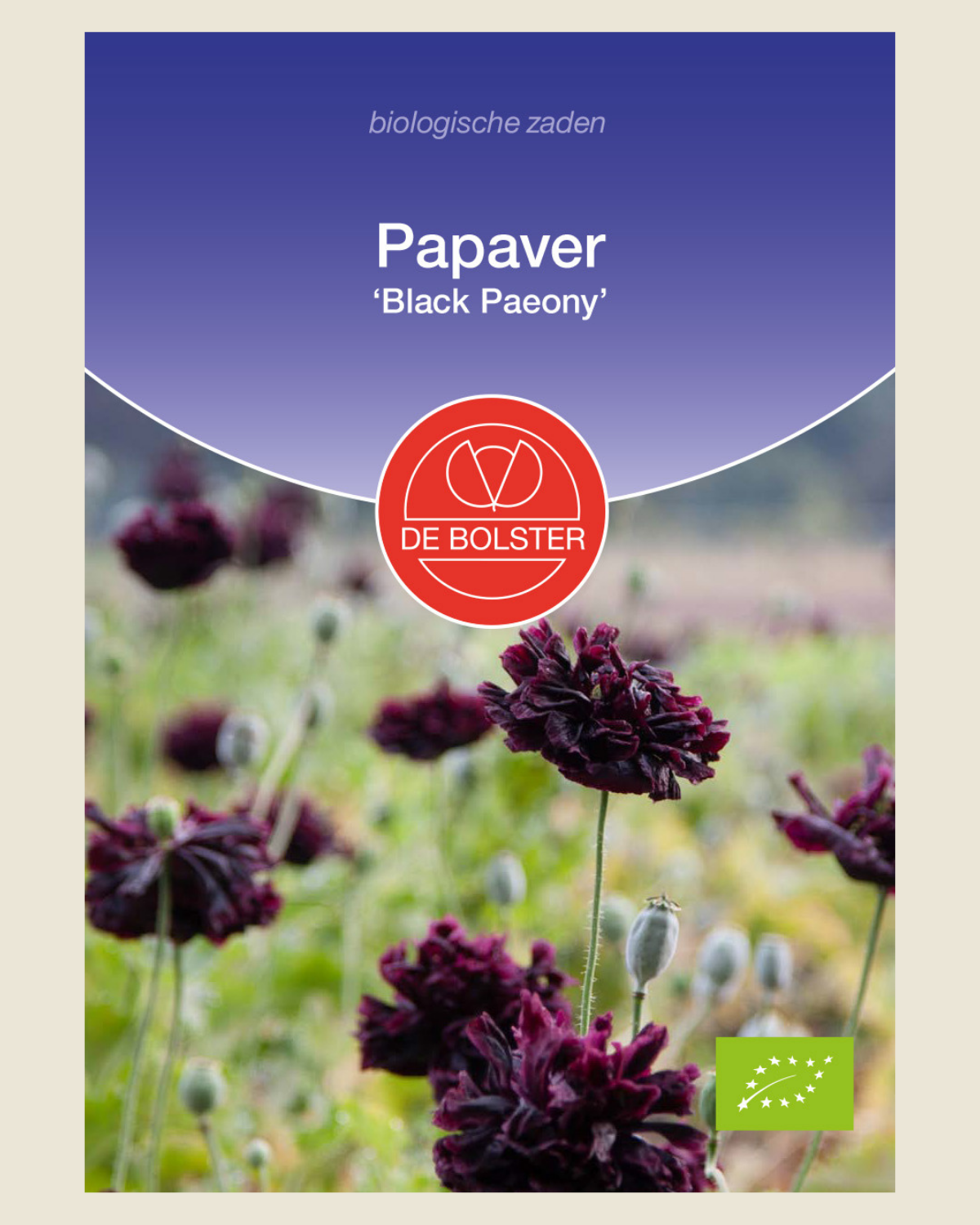Papaver 'Black Paeony' BIO