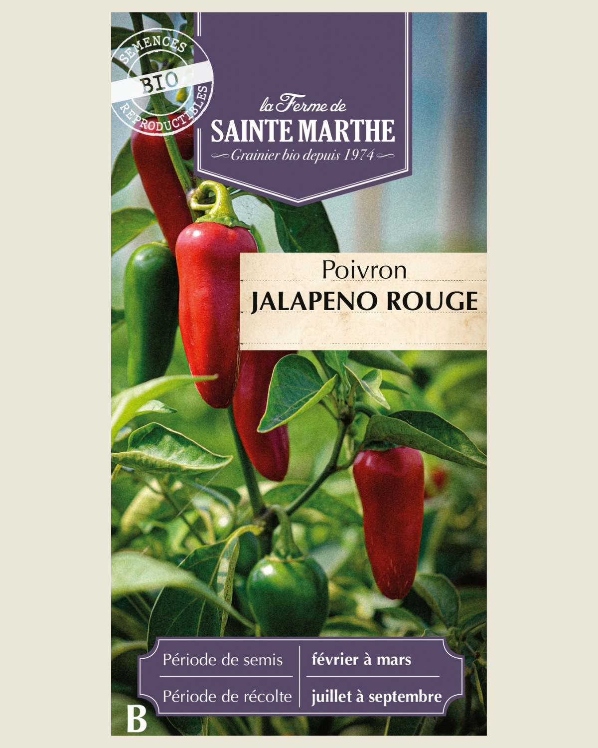 Peper 'Jalapeño Rouge' BIO zakje - De Groene Makers