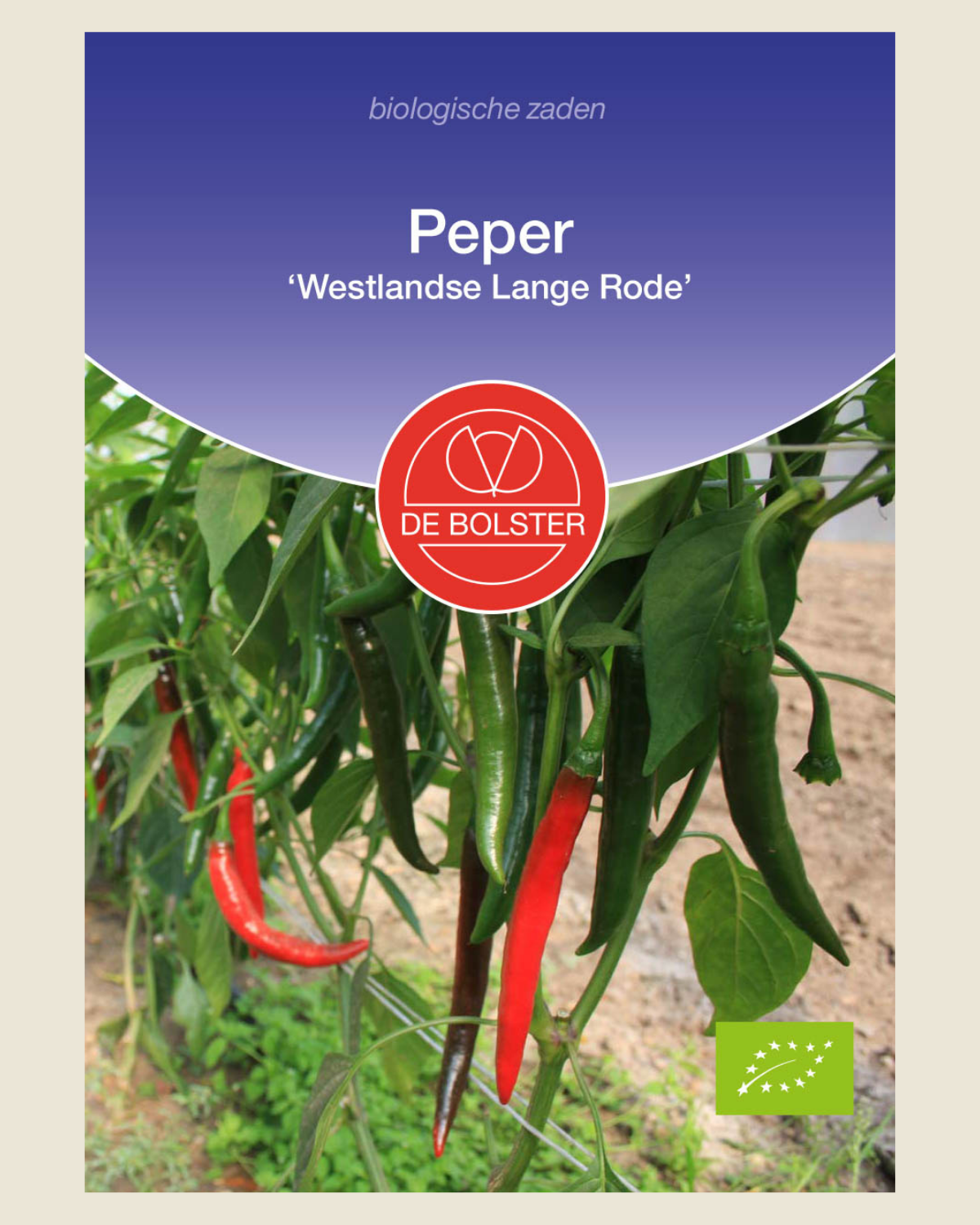 Peper 'Westlandse Lange Rode' BIO