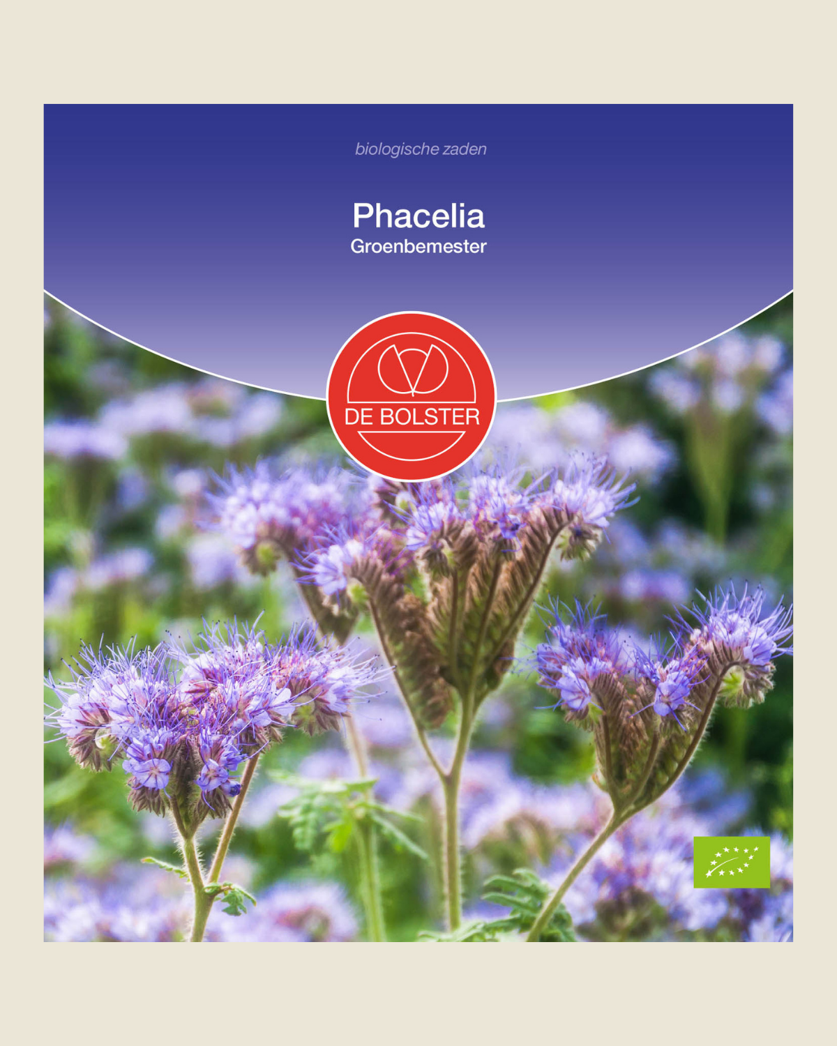 Phacelia BIO