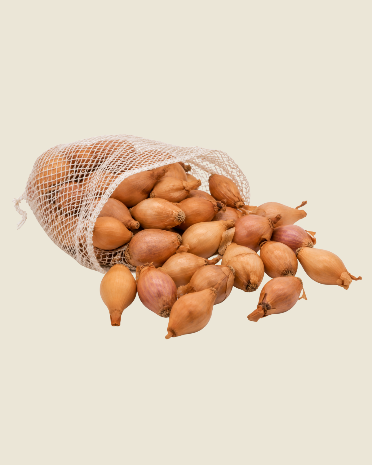 Plantui Radar BIO - 250 gram winterharde biologische plantuien