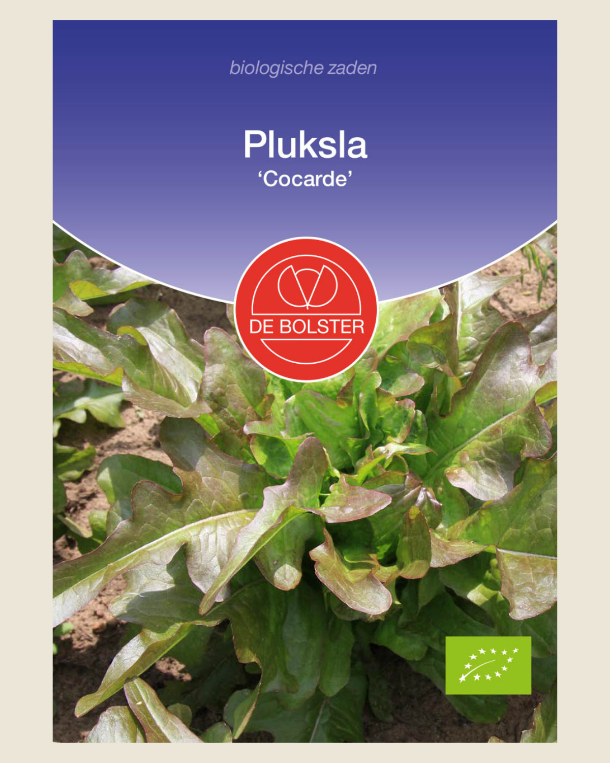 Pluksla 'Cocarde' BIO