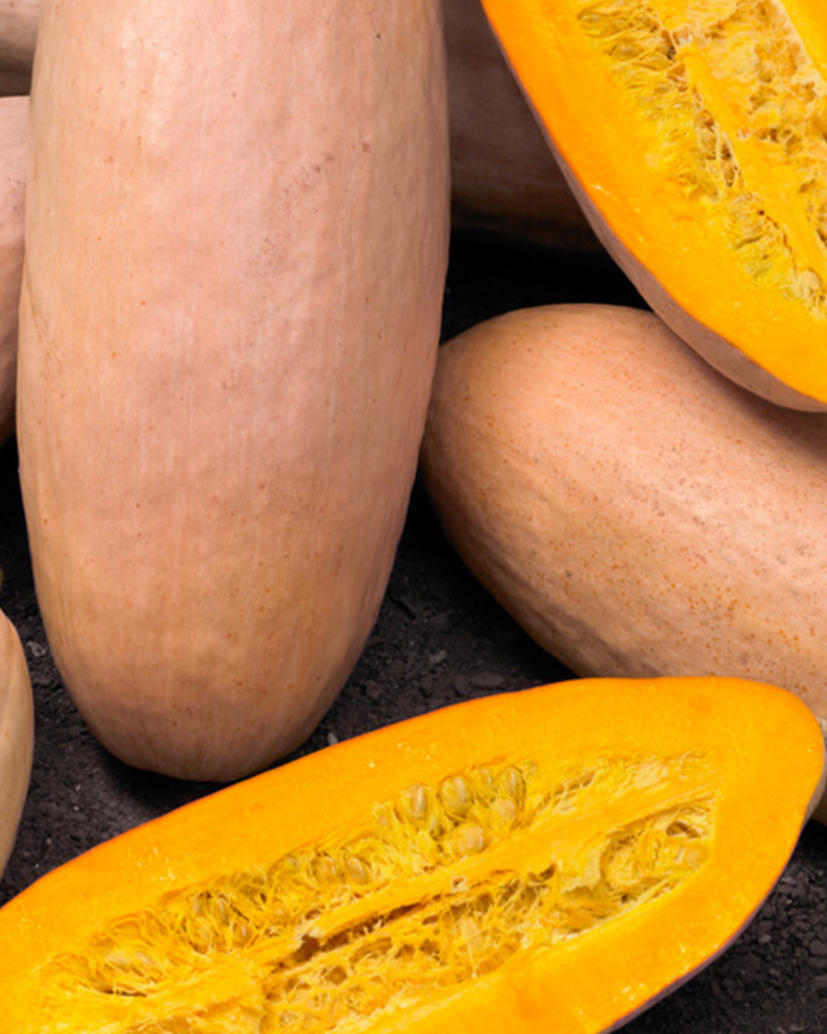 Pompoen 'Pink Banana Jumbo' BIO