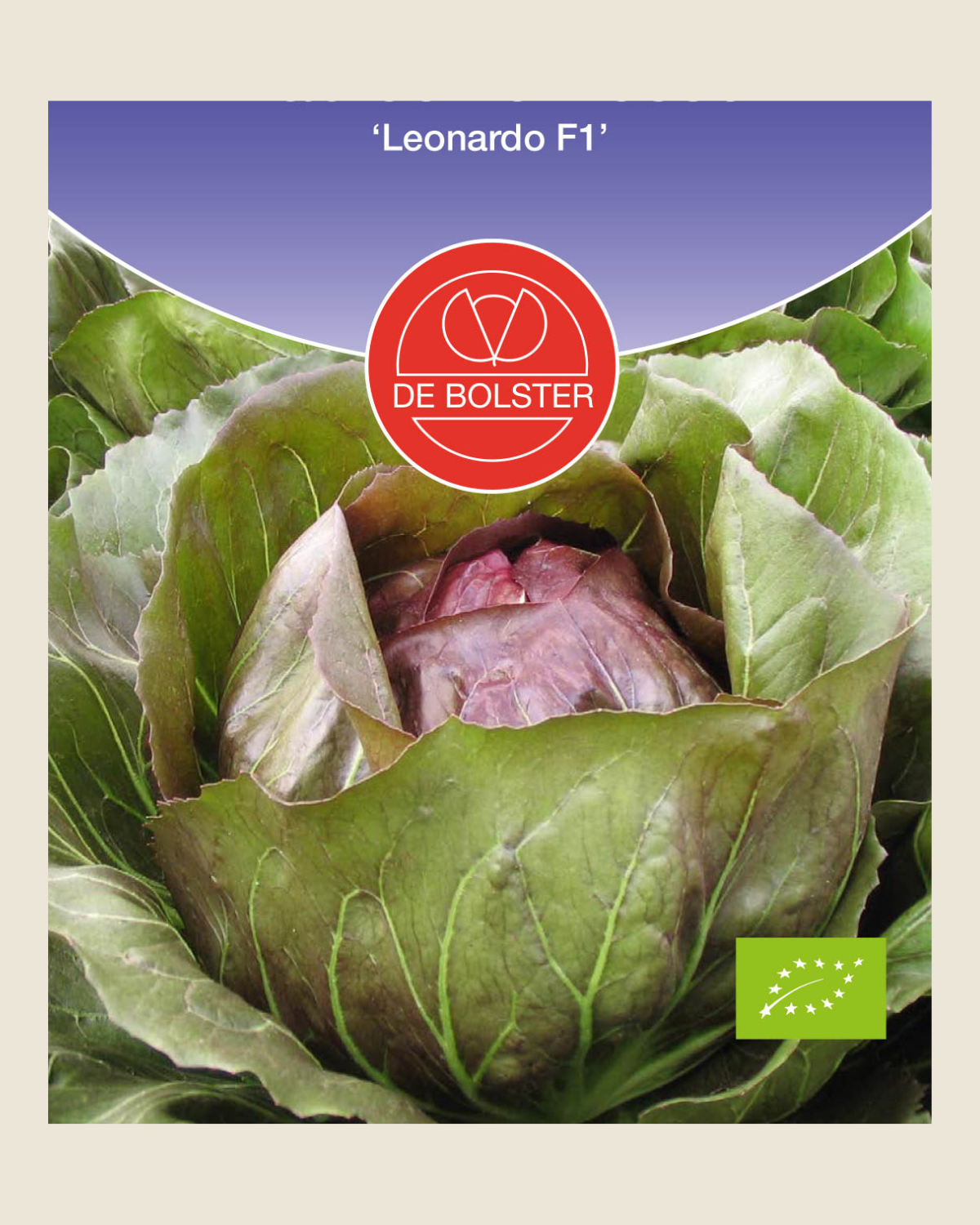 Radicchio Rosso 'Leonardo F1' BIO