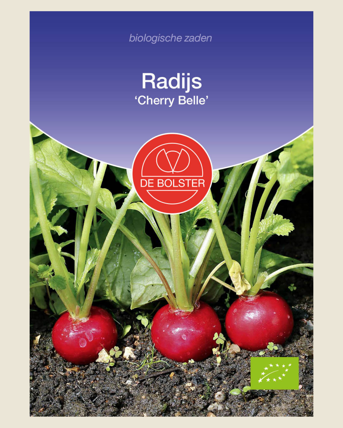 Radijs 'Cherry Belle' BIO