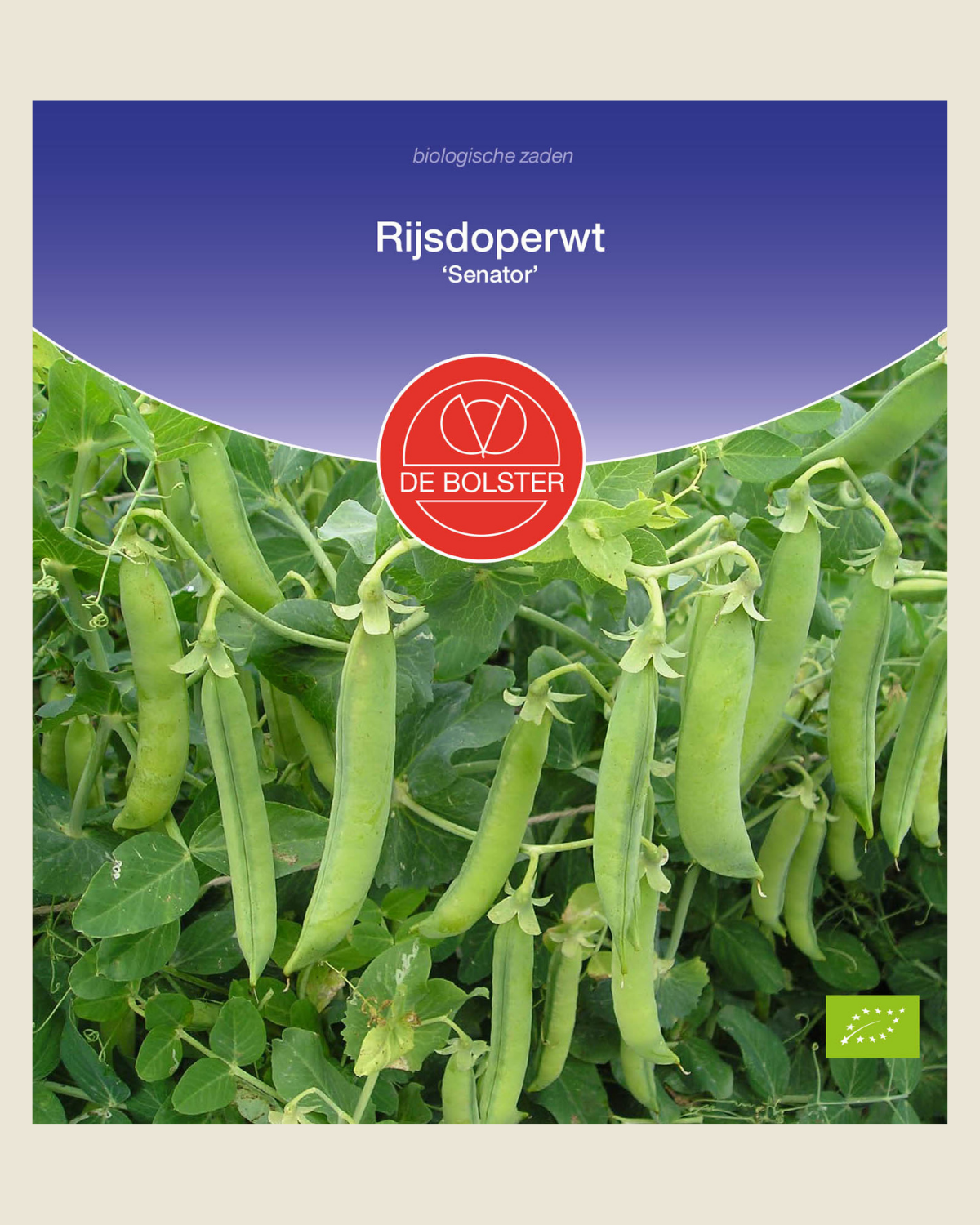 Rijsdoperwt 'Senator' BIO
