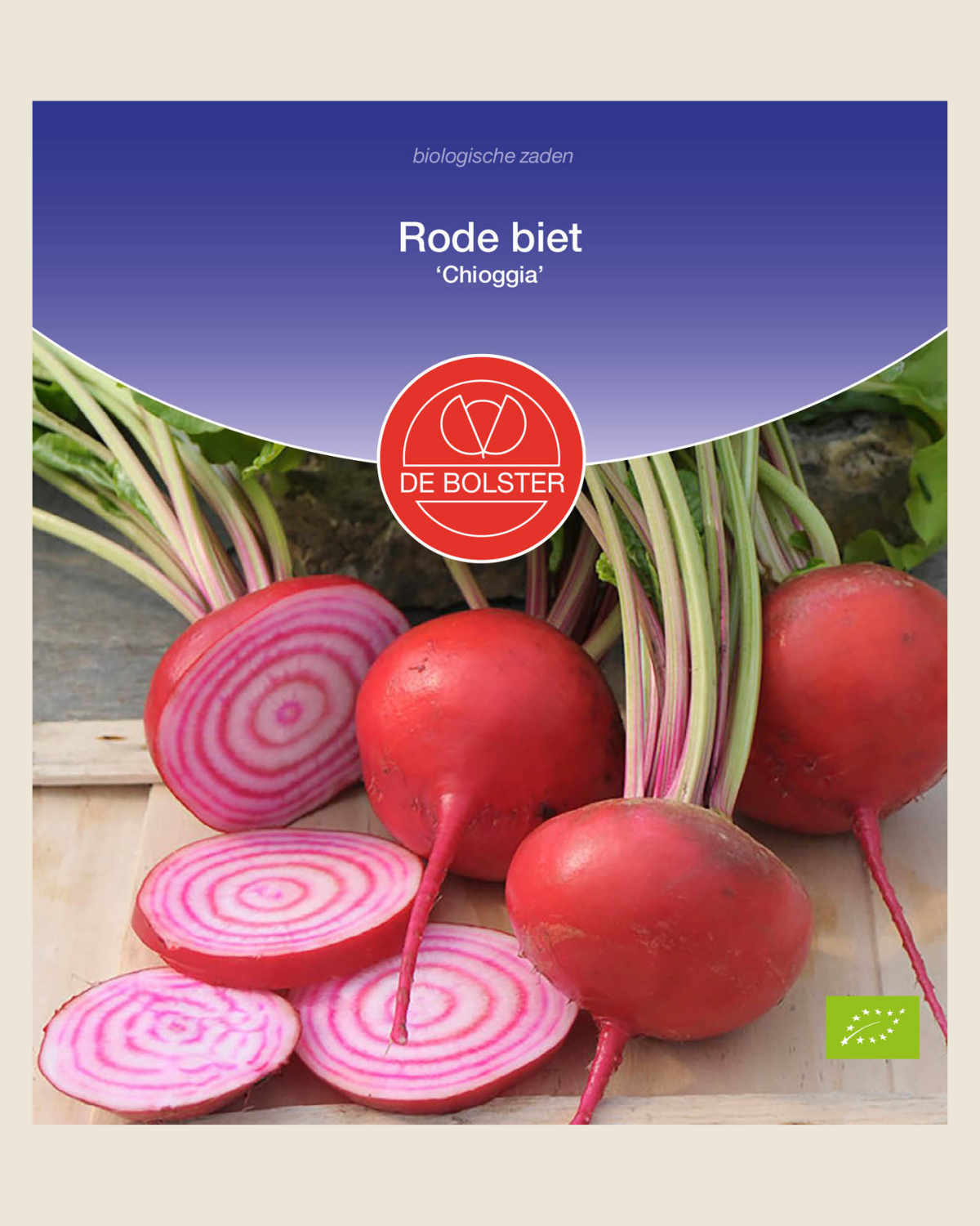 Rode biet 'Chioggia' BIO