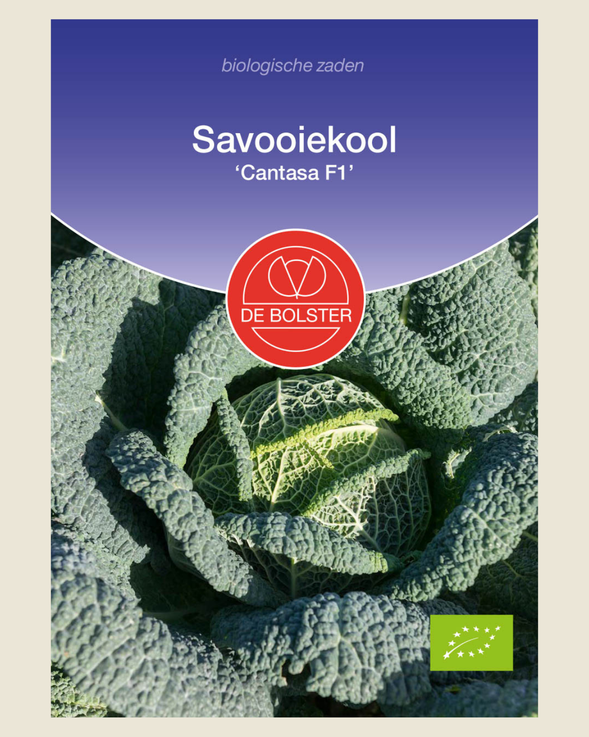 Savooiekool 'Cantasa F1' BIO