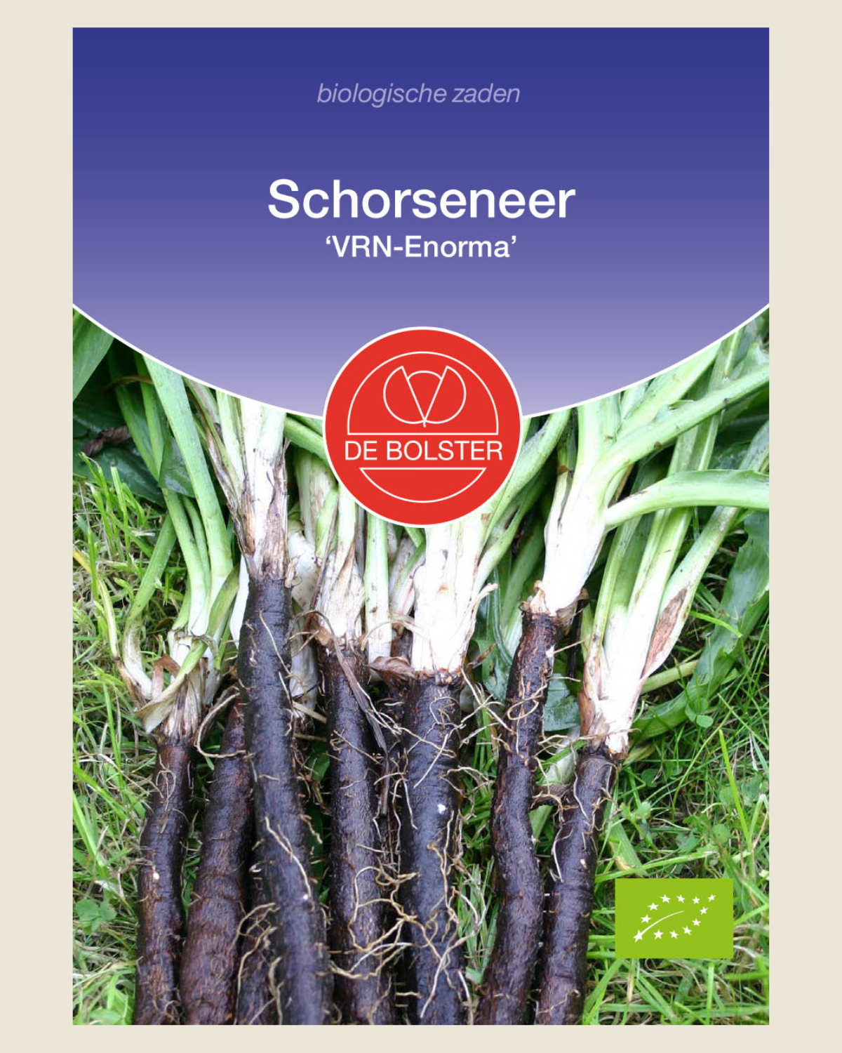 Schorseneer 'VRN-Enorma' BIO