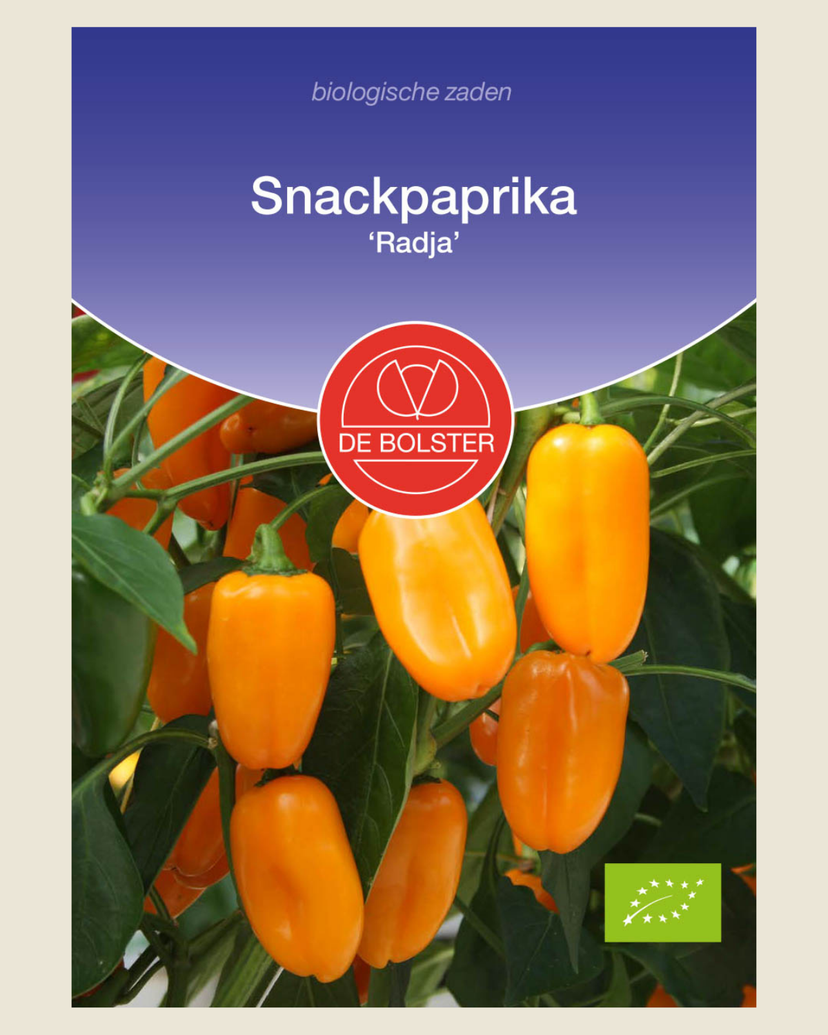 Snackpaprika 'Radja' BIO