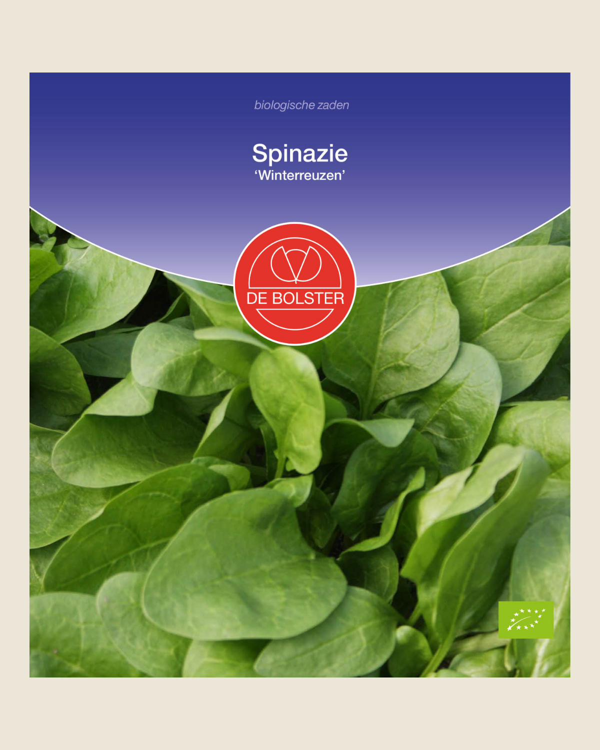 Spinazie 'Winterreuzen' BIO