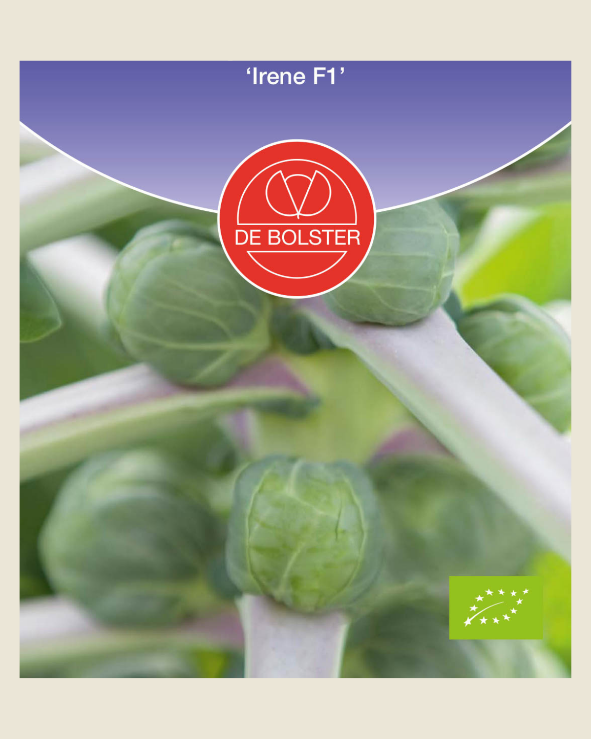 Spruitkool 'Irene F1' BIO