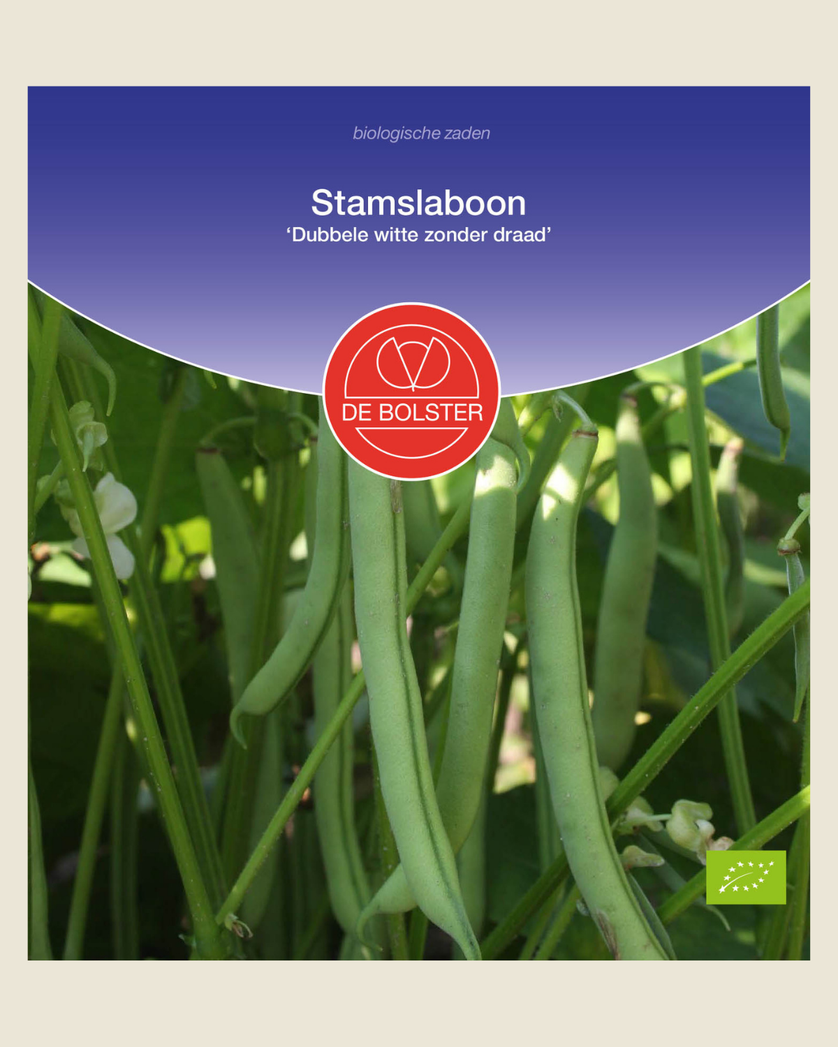 Stamslaboon 'Dubbele witte zonder draad' BIO