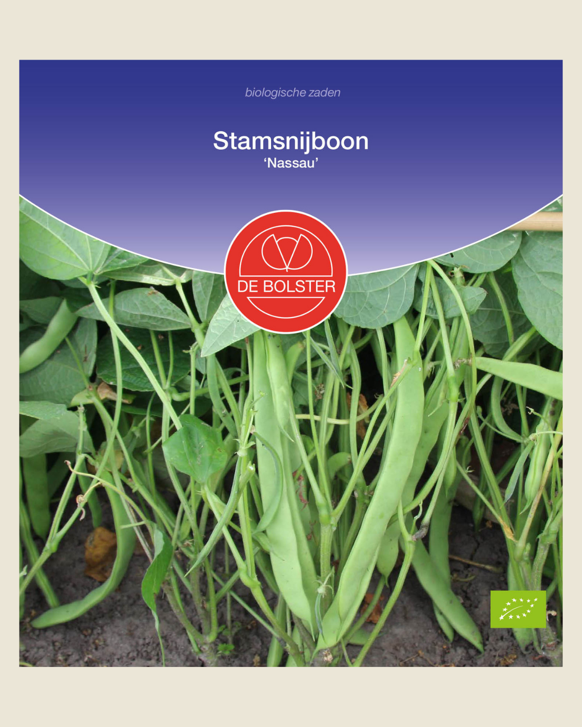 Stamsnijboon 'Nassau' BIO