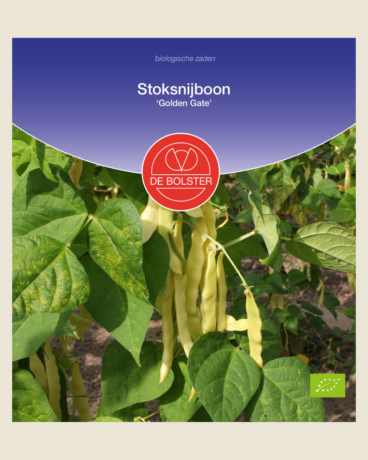 Stoksnijboon 'Golden Gate' BIO