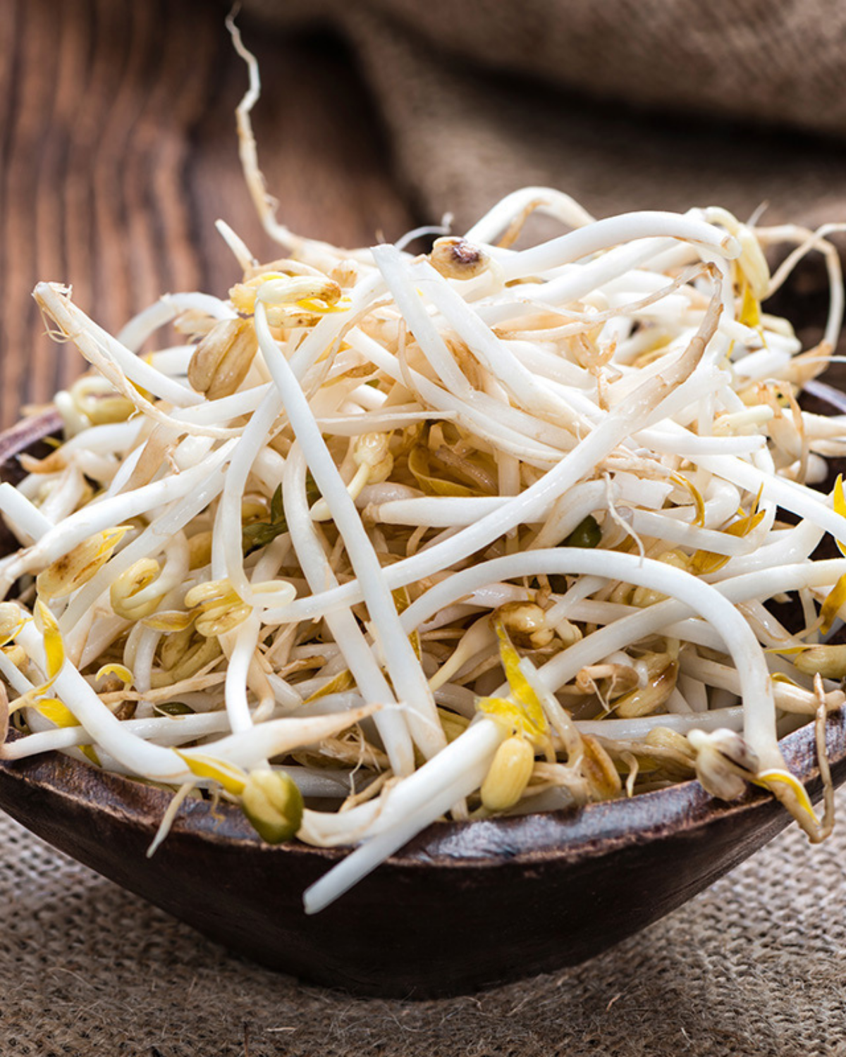 Taugé BIO
