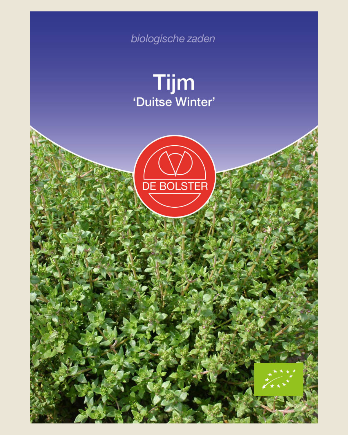 Tijm 'Duitse Winter' BIO
