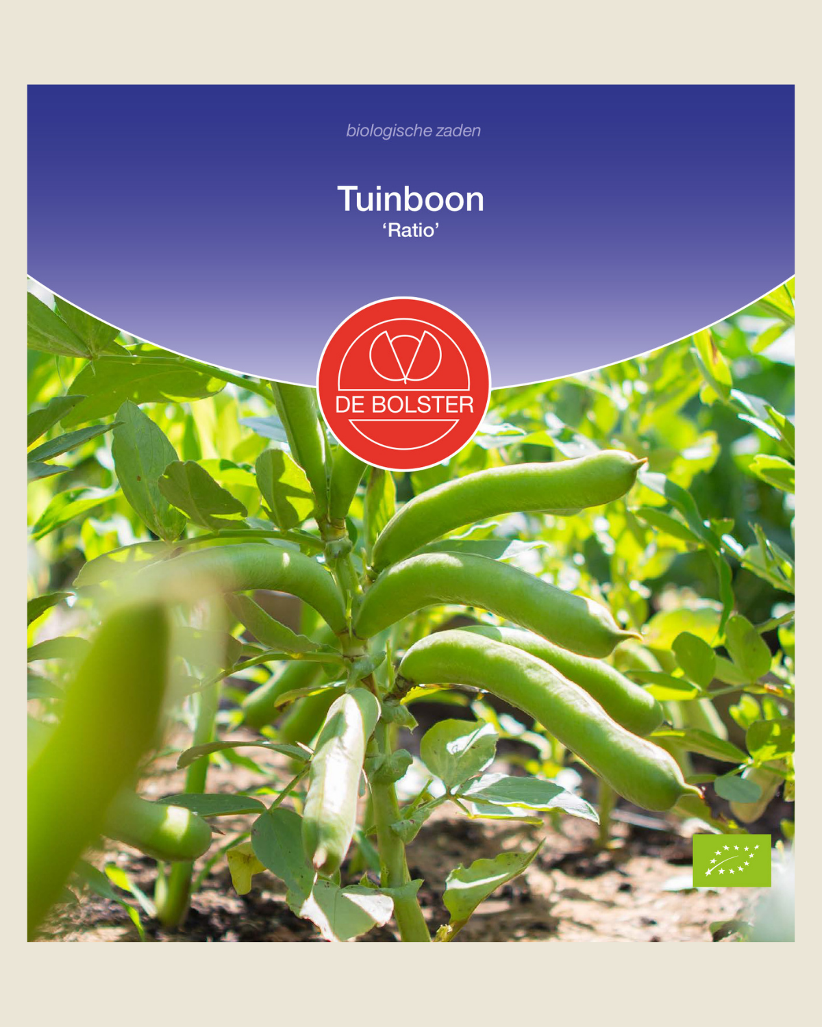 Tuinboon 'Ratio' BIO