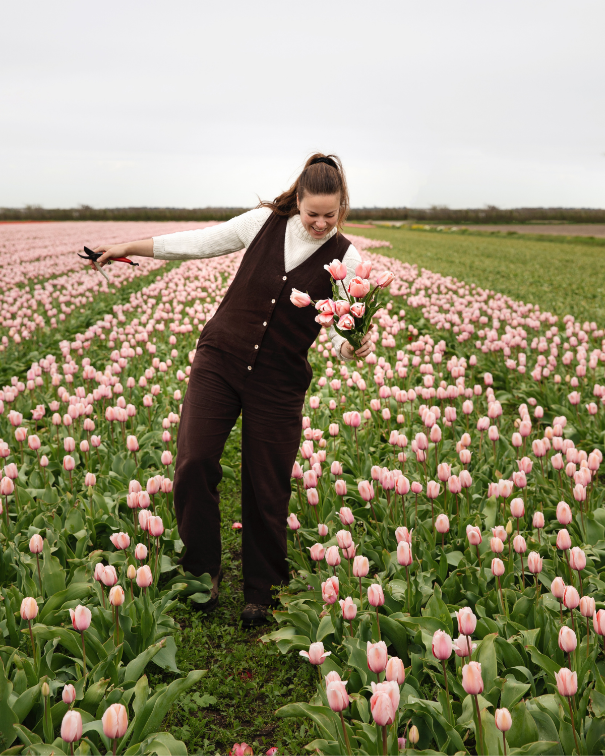 Tulp 'Salmon Impression' BIO (8 stuks)