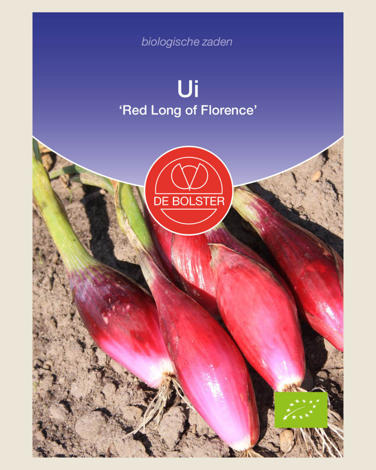 Ui 'Red Long of Florence' BIO