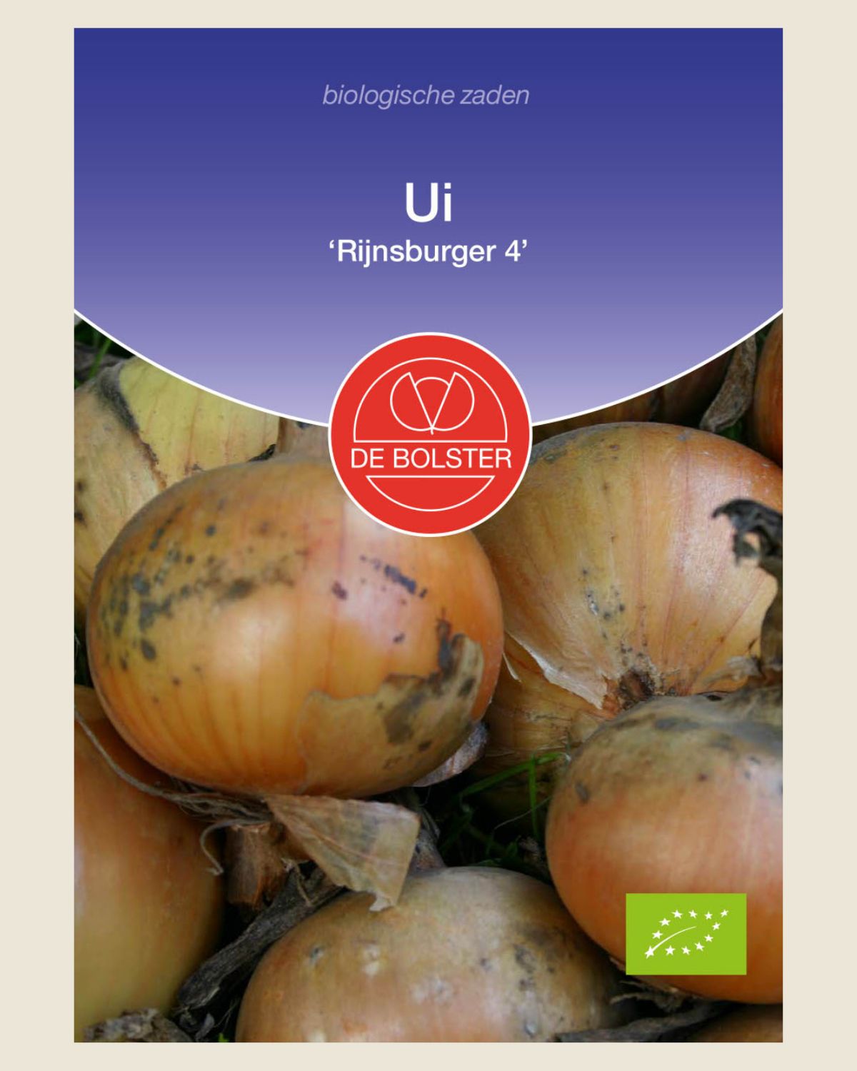 Ui 'Rijnsburger 4' BIO