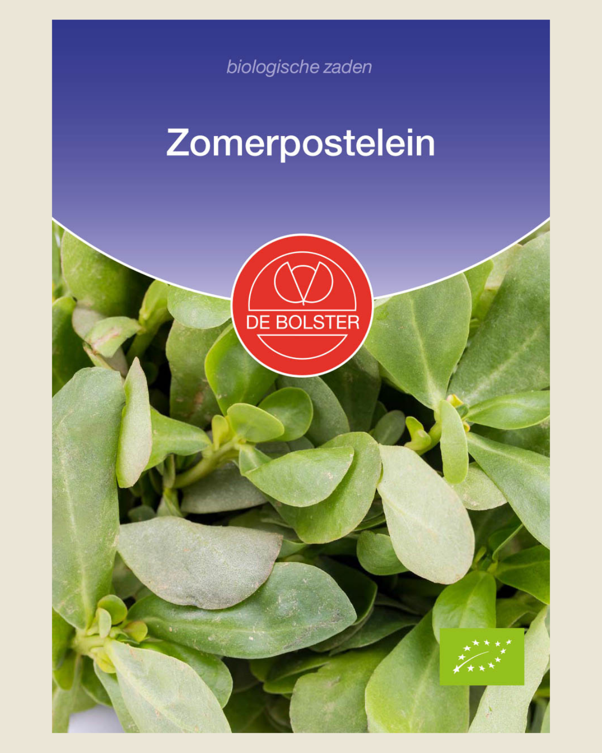 Zomerpostelein BIO