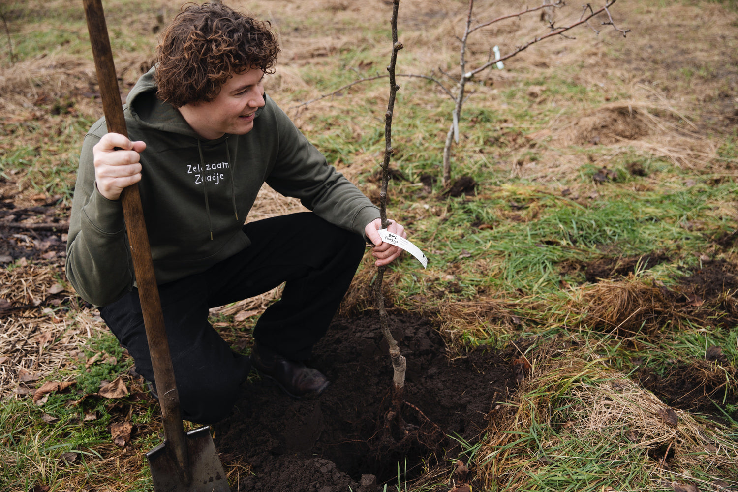 Kaal wortelgoed: planten met blote wortels zonder pot