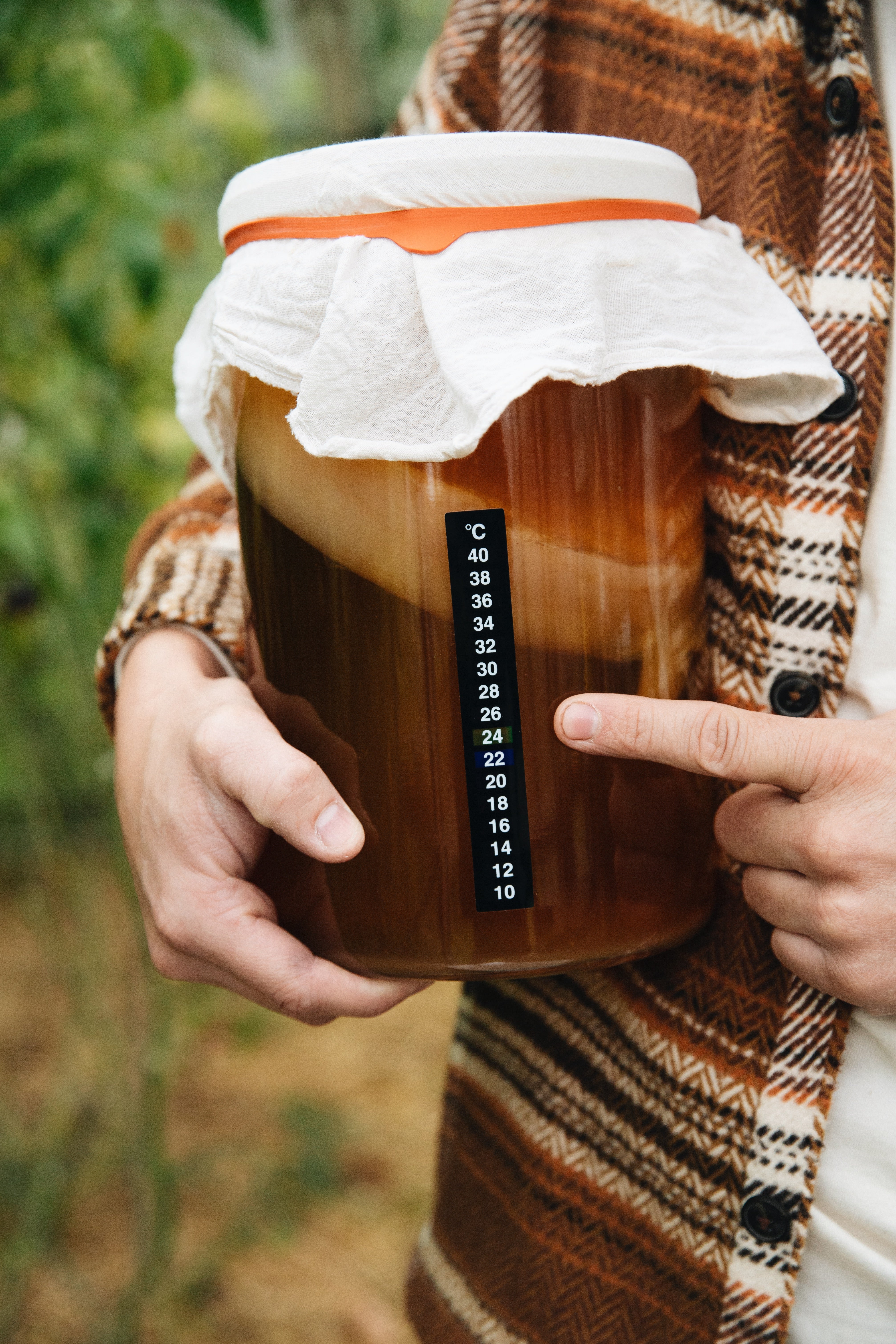 Pot met gezoete thee voor kombucha met temperatuurmeter