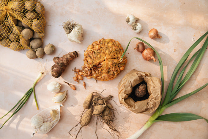 Zelfgeteelde uien uit de moestuin