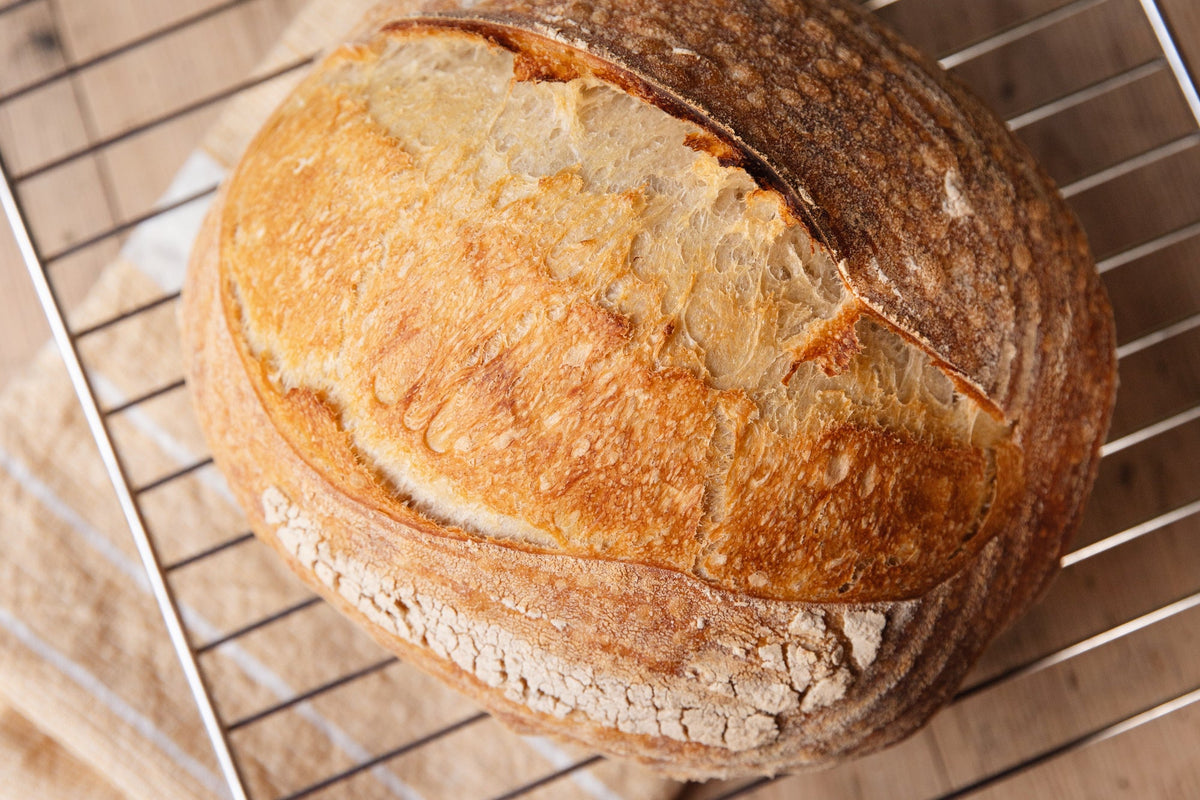 Versgebakken brood met een krokante korst op een afkoelrooster