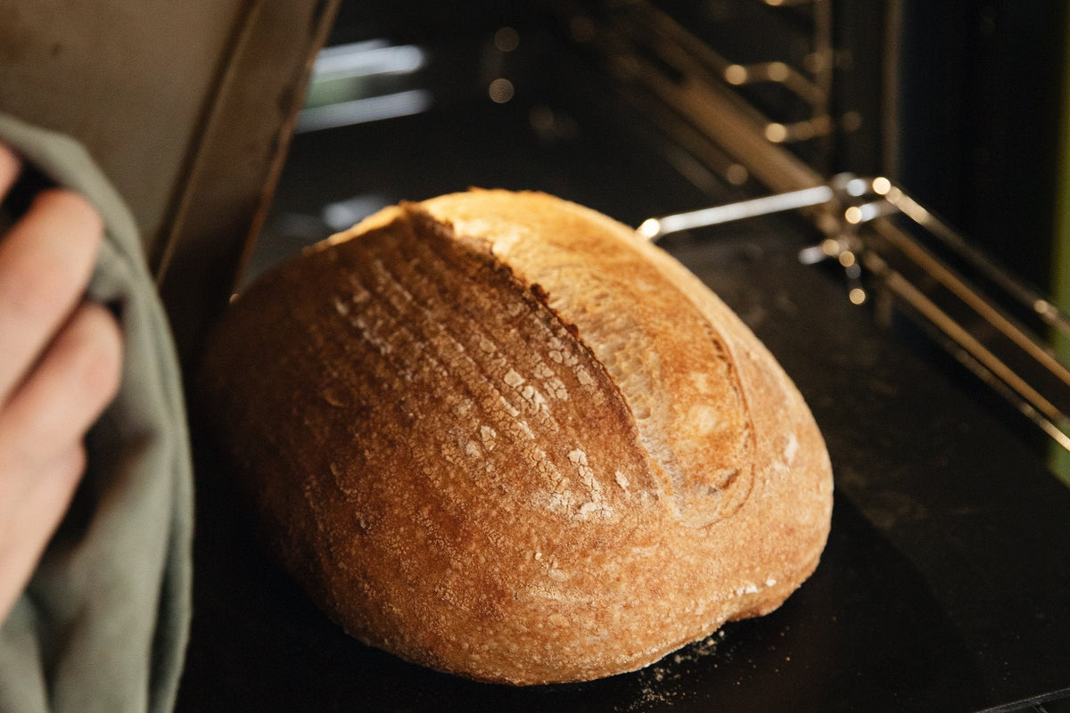 Versgebakken brood met een krokante korst wordt uit de oven gehaald