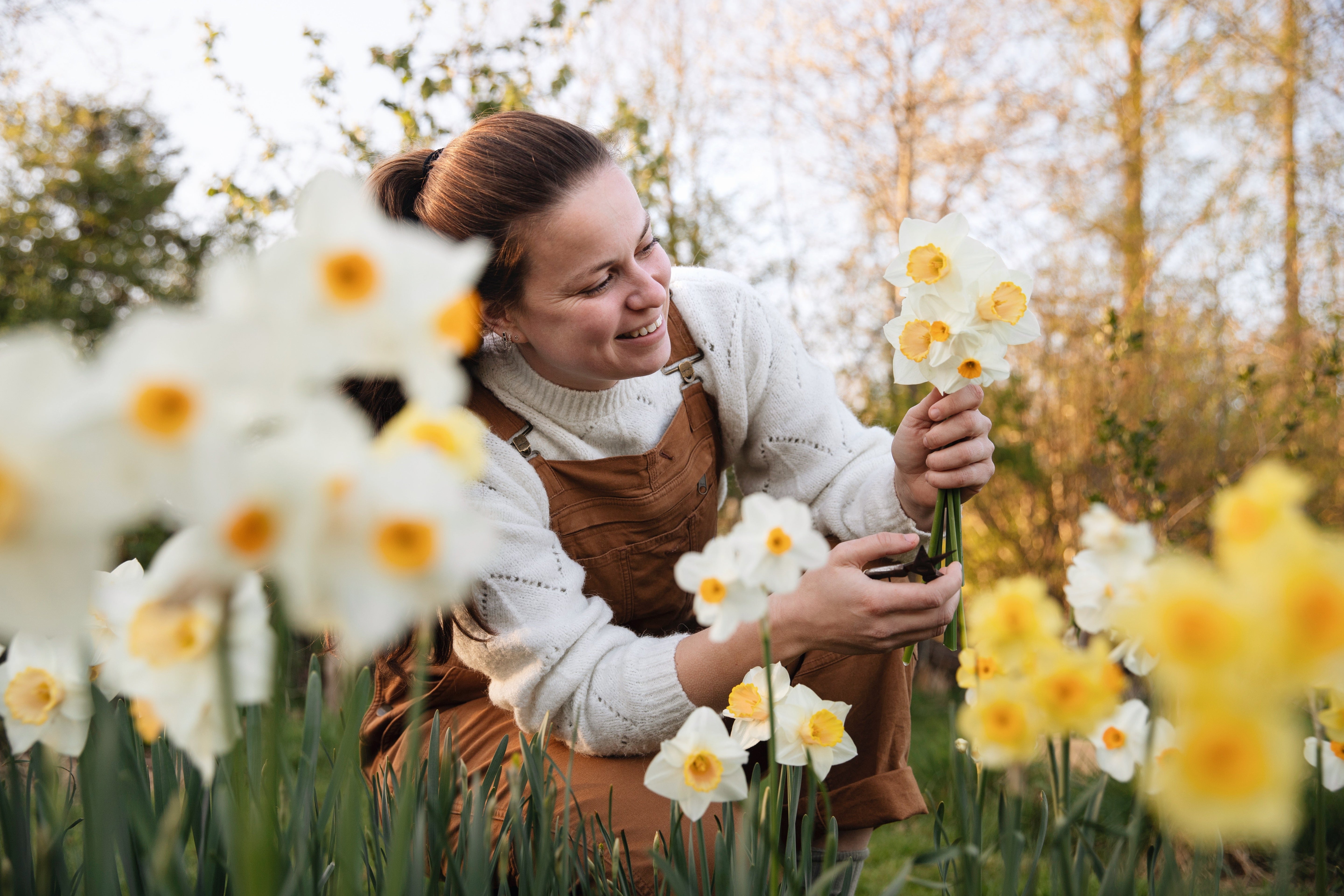 Merel plukt verwilderde narcissen onder de bomen bij De Groene Makers