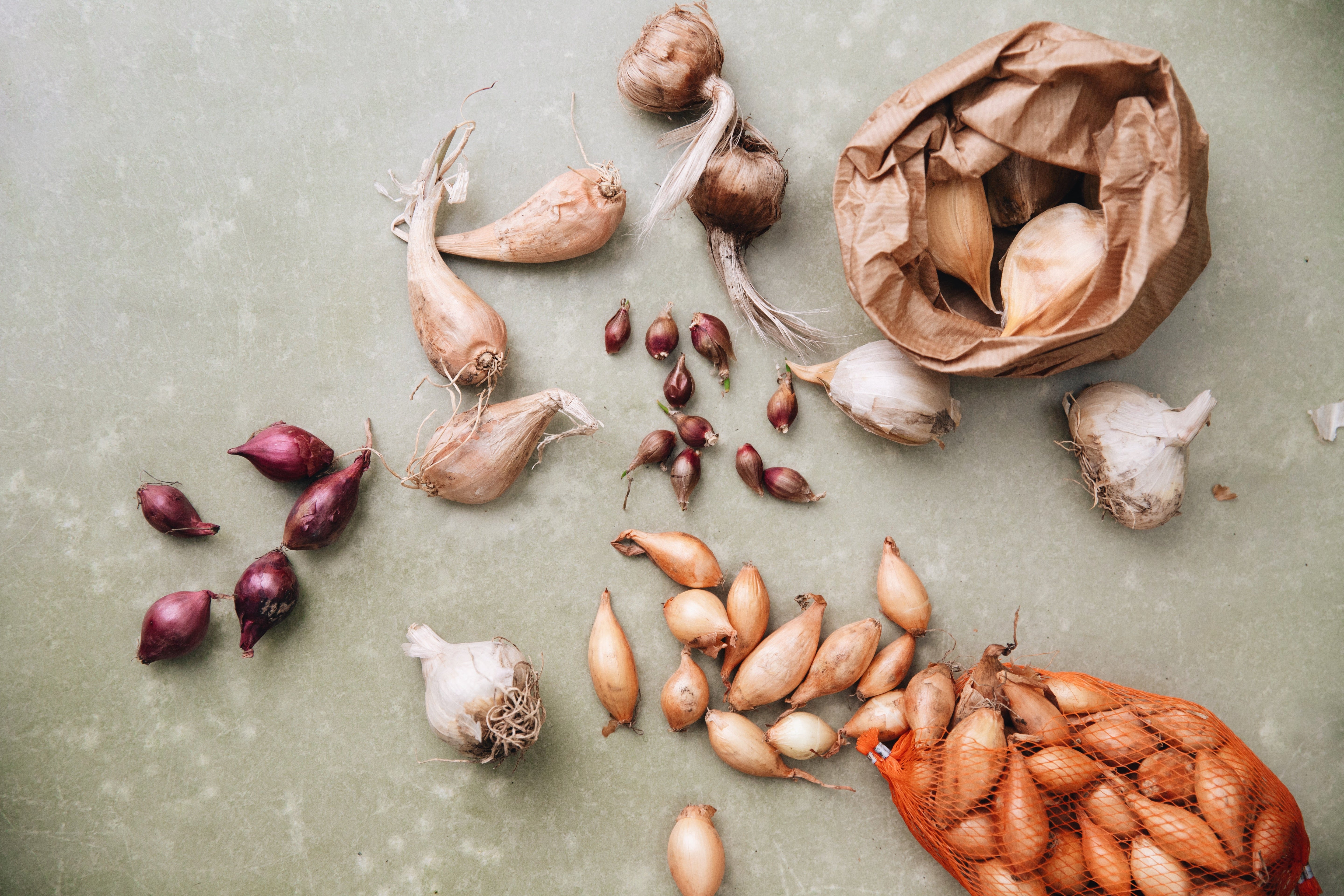 Biologisch pootgoed