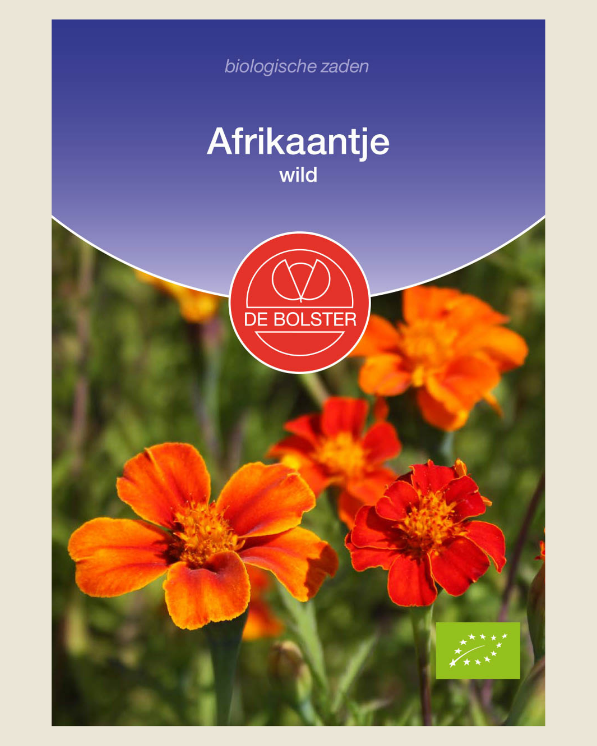 Afrikaantje, wild BIO
