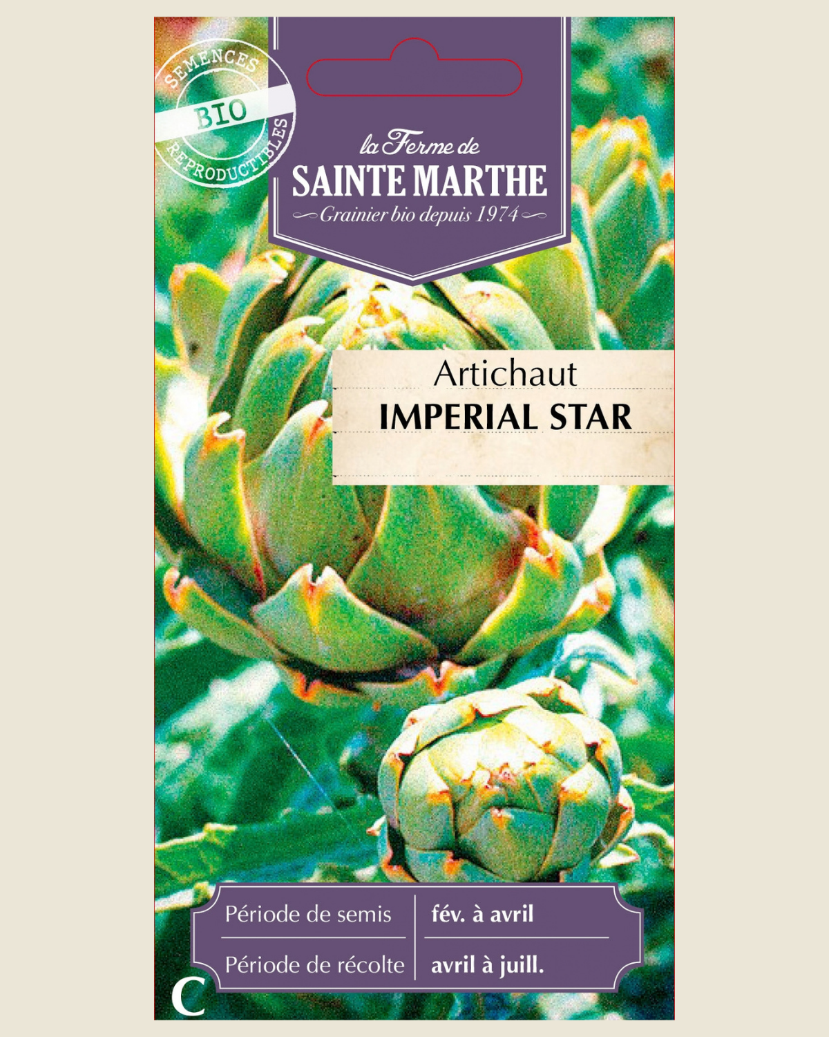 Artisjok 'Imperial Star' BIO zakje - De Groene Makers