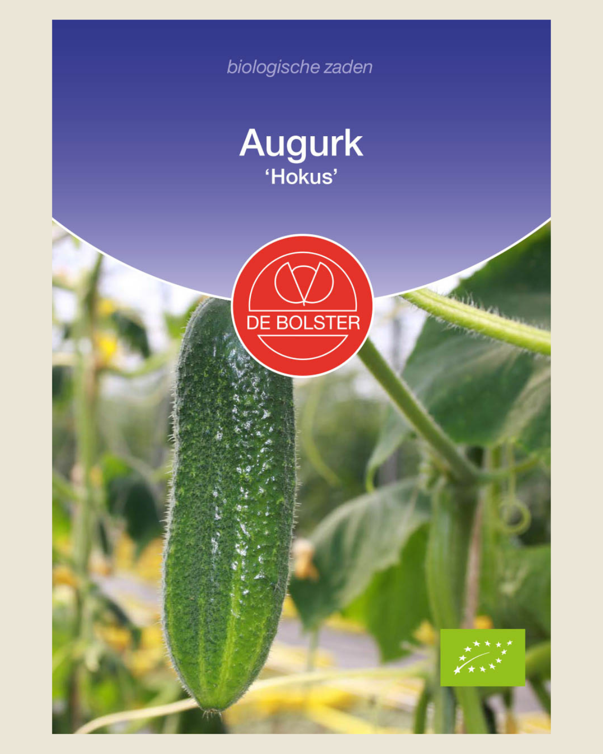 Augurk 'Hokus' BIO