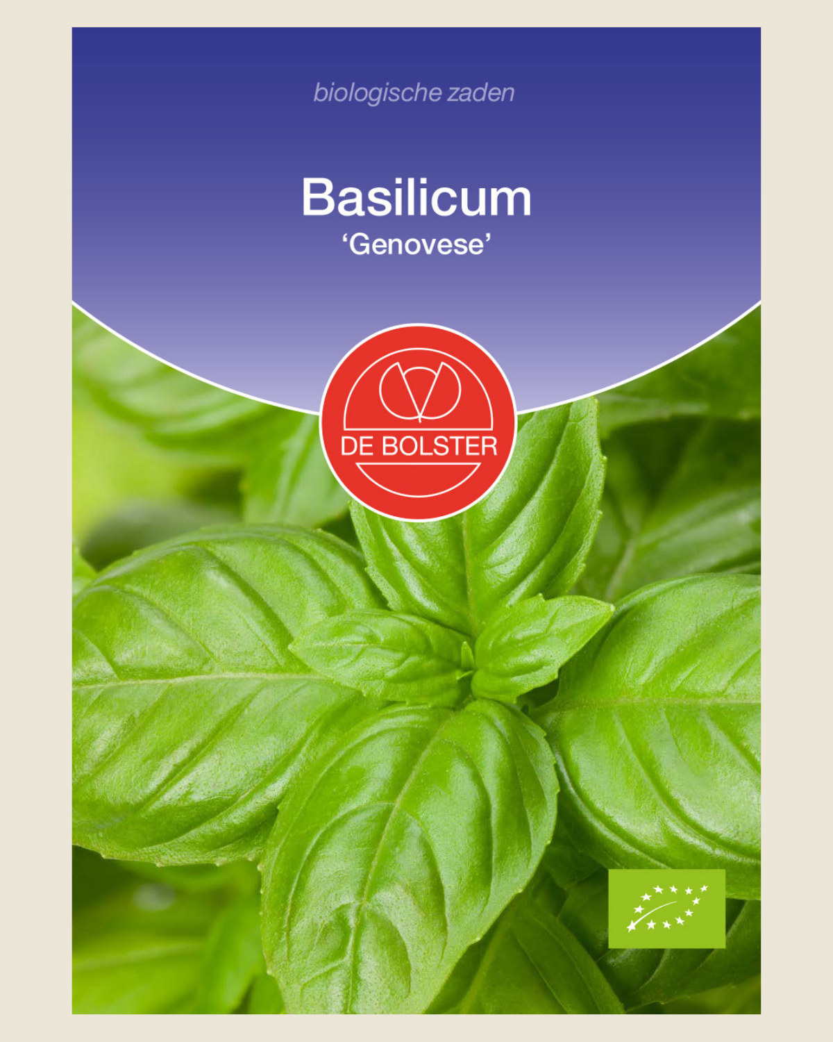 Basilicum 'Genovese'